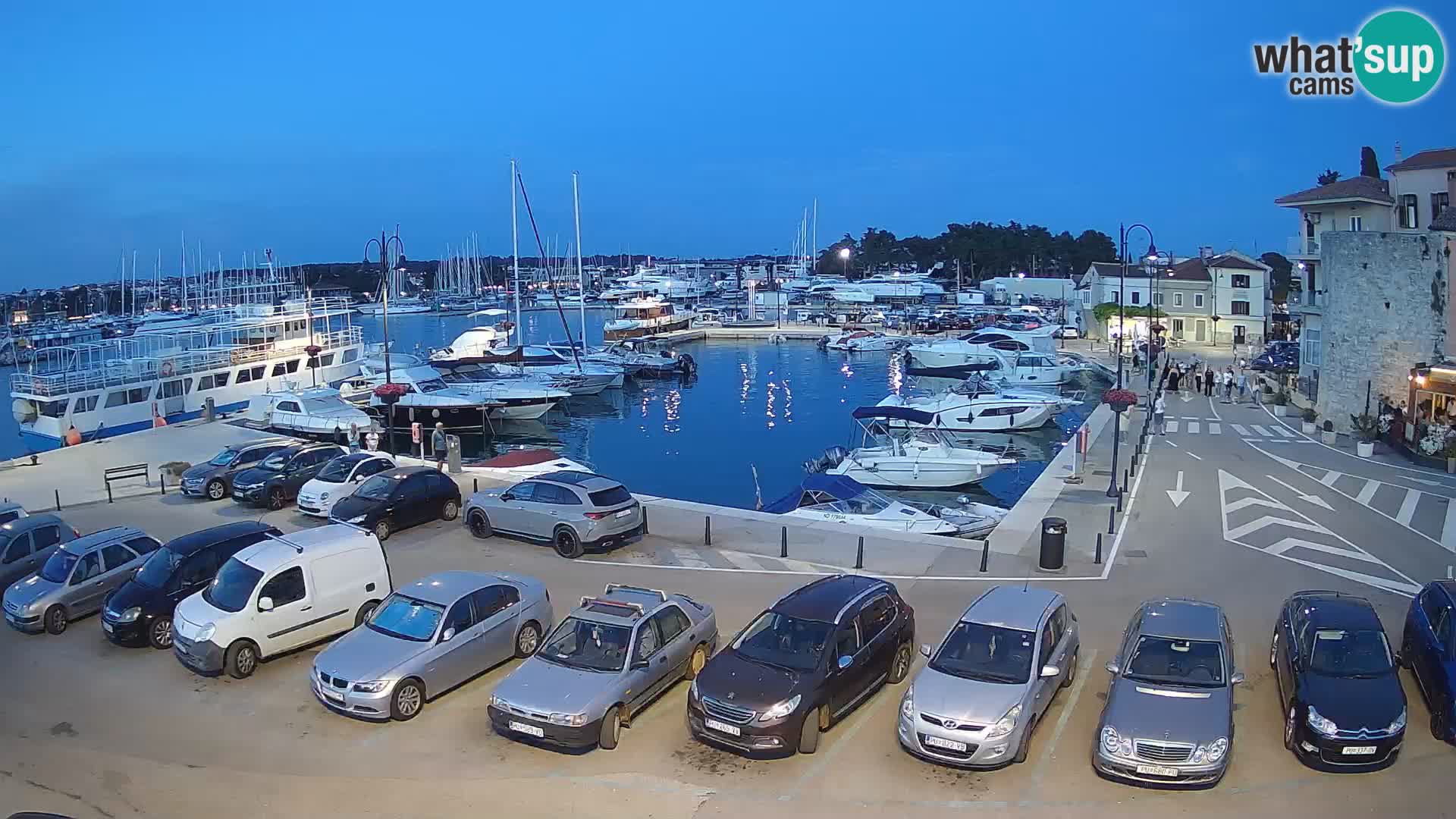 Novigrad | Porporela marina