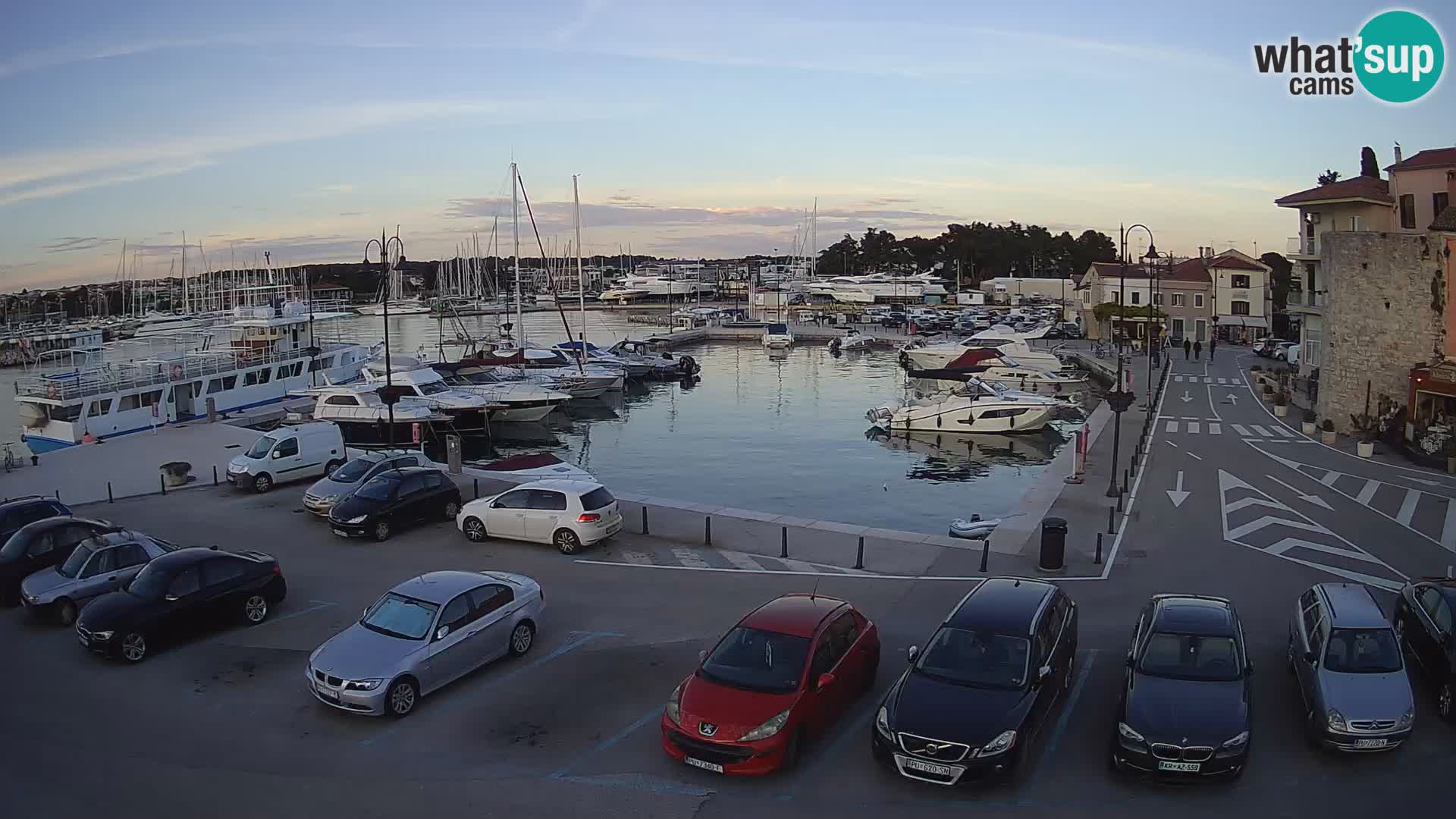 Novigrad | Porporela marina