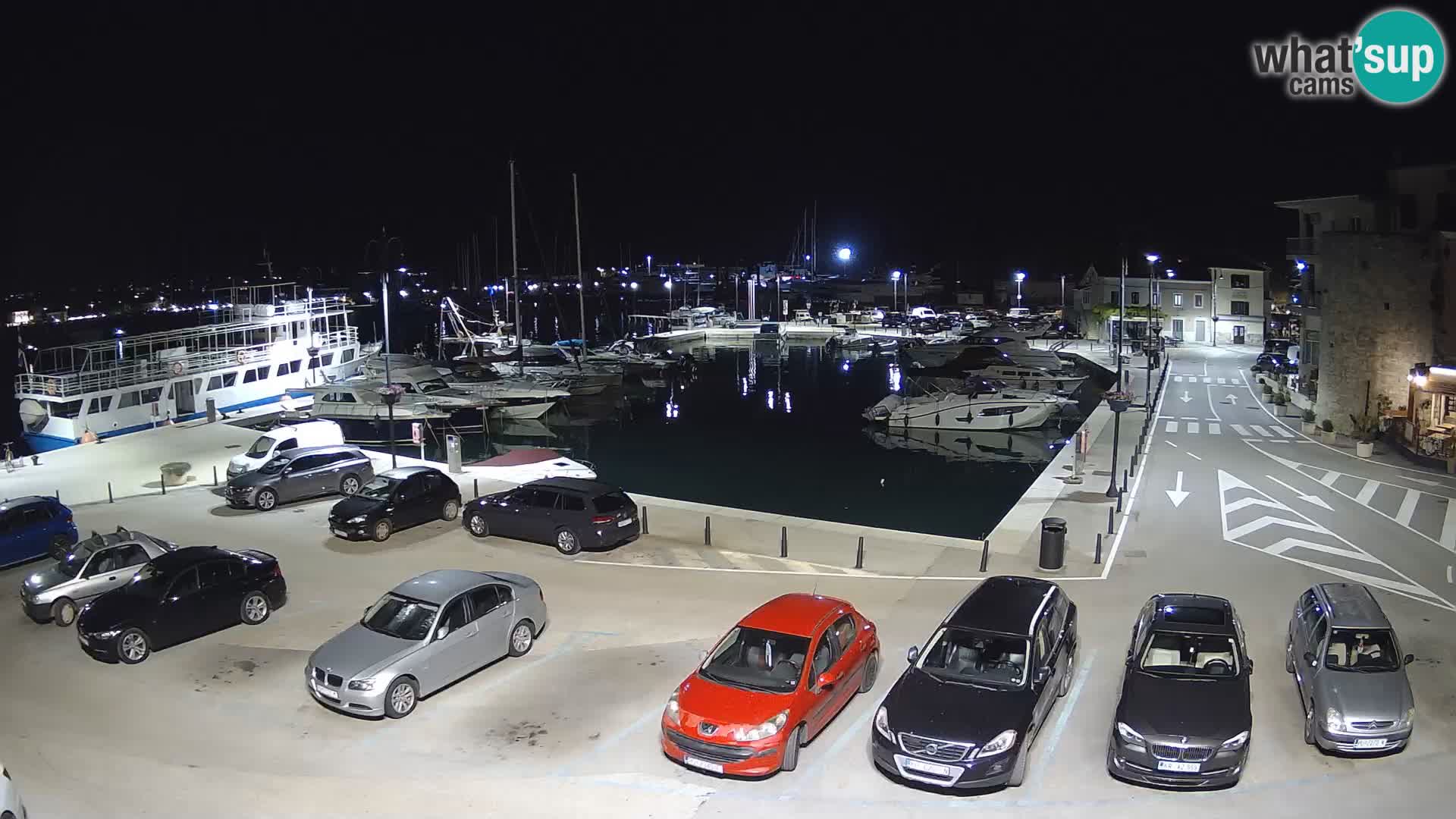 Novigrad | Porporela marina
