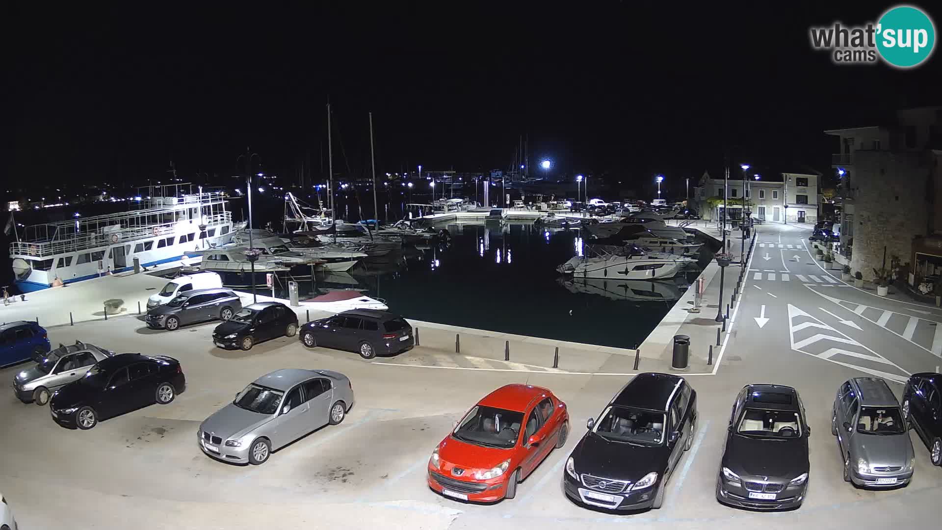 Novigrad | Porporela marina