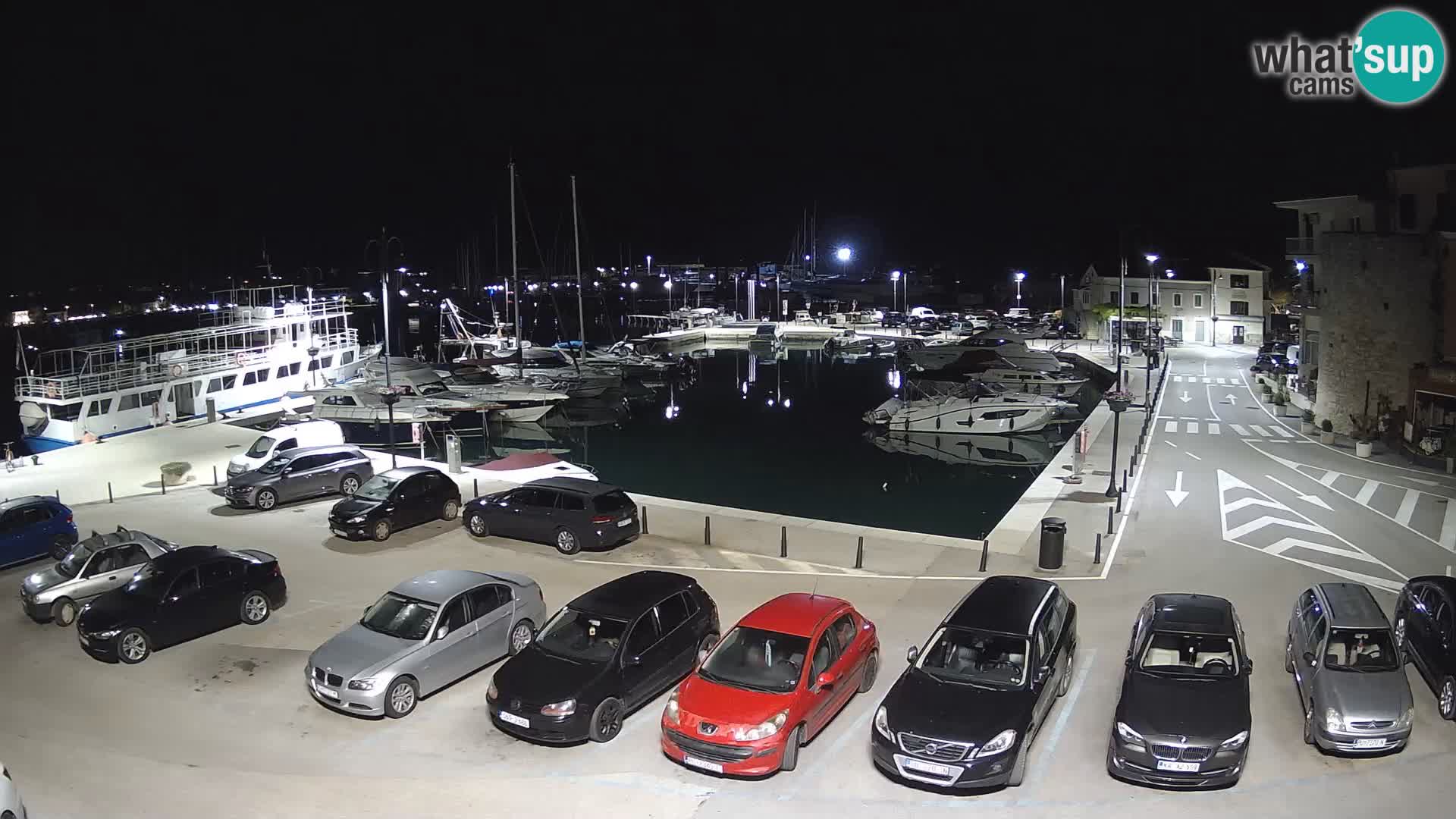 Novigrad | Porporela marina