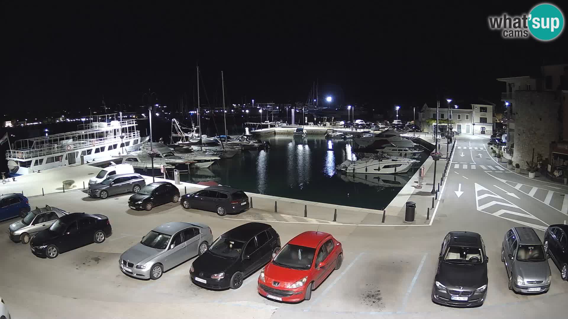Novigrad | Porporela marina