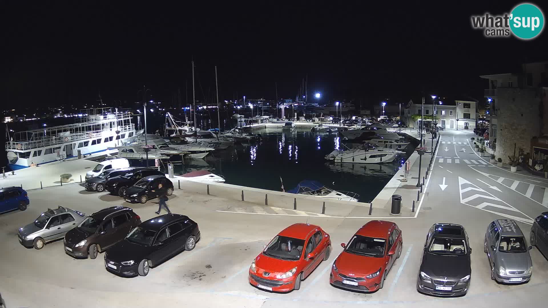 Novigrad | Porporela marina