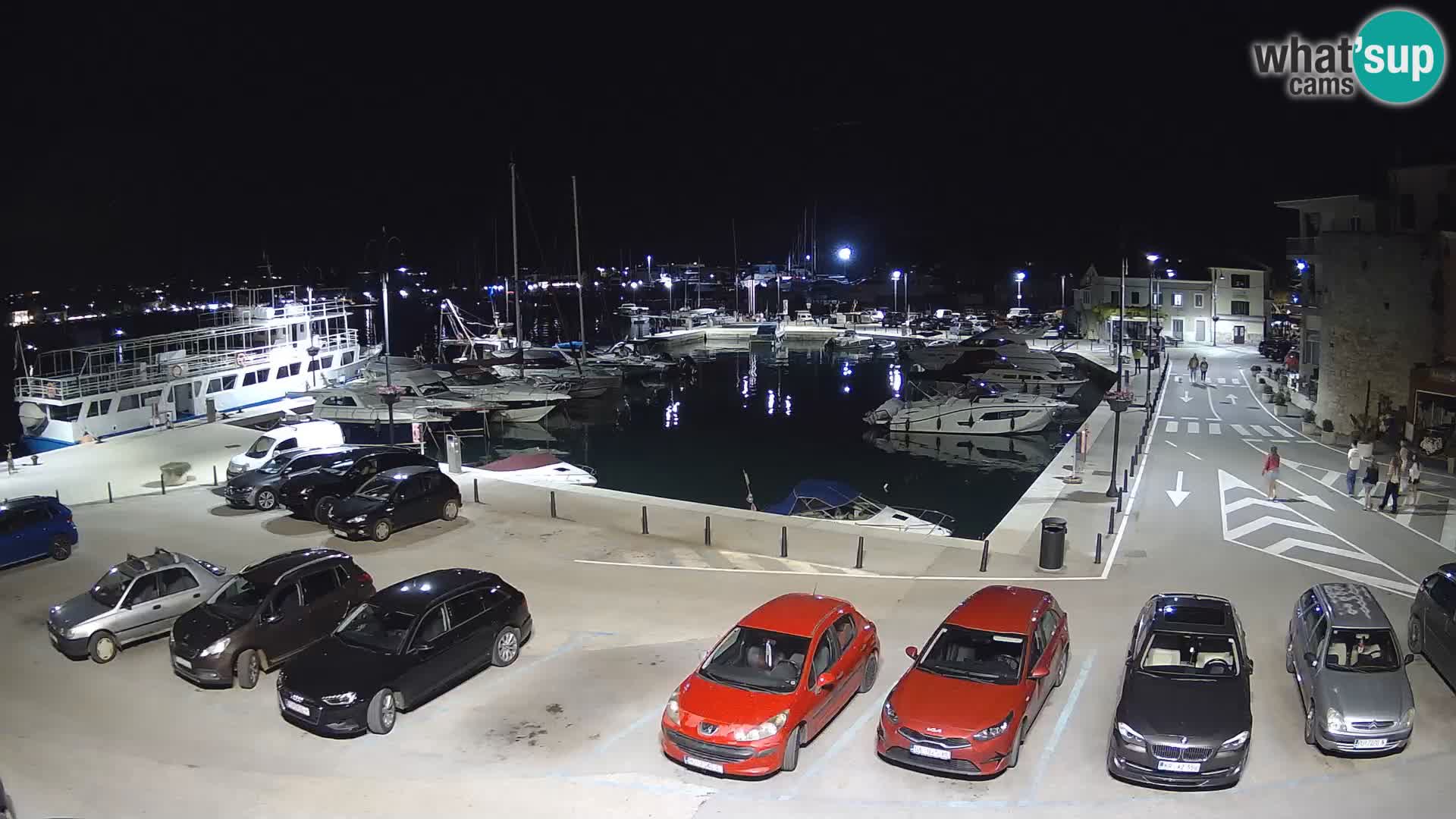 Novigrad | Porporela marina