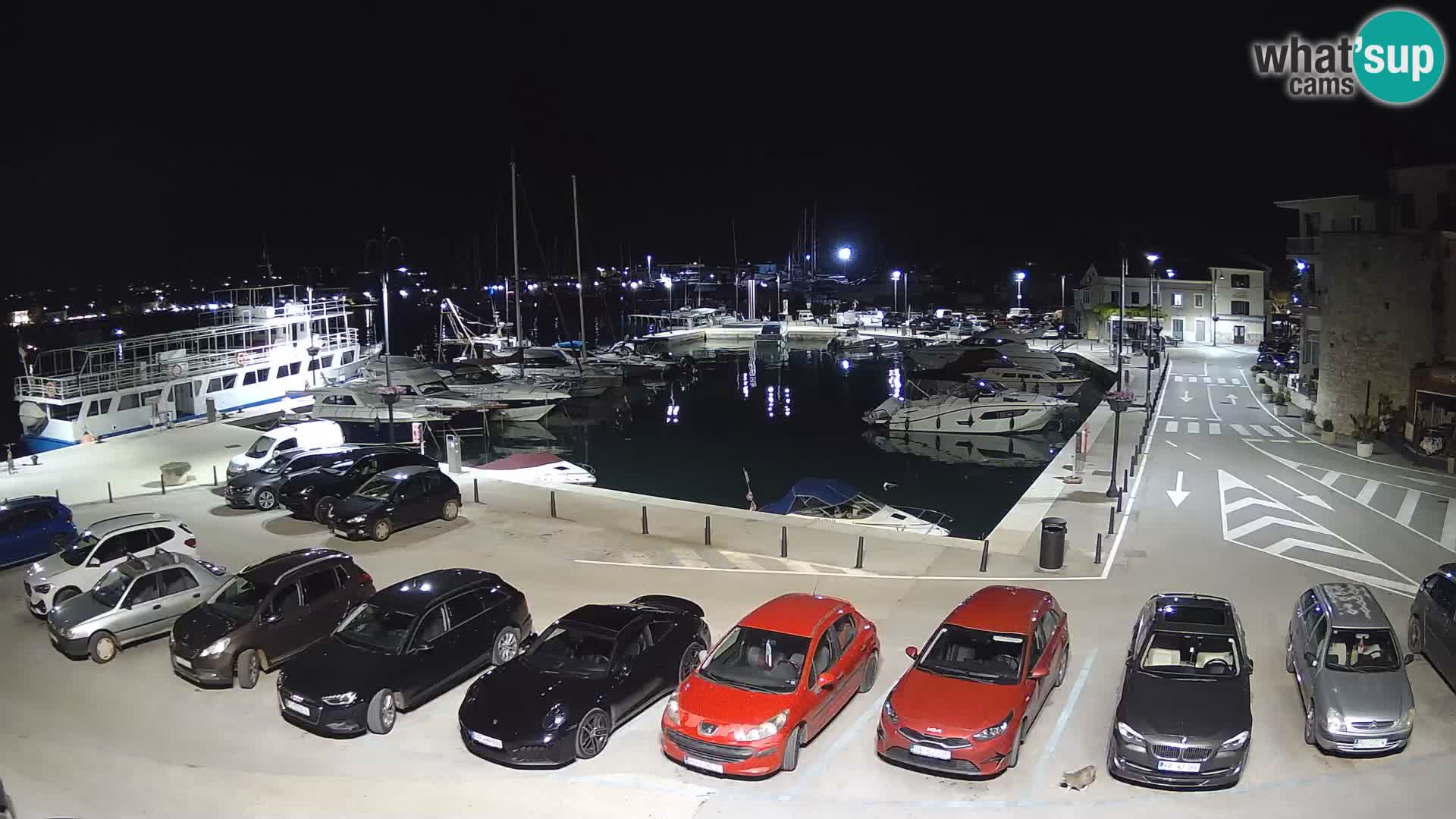 Novigrad | Porporela marina
