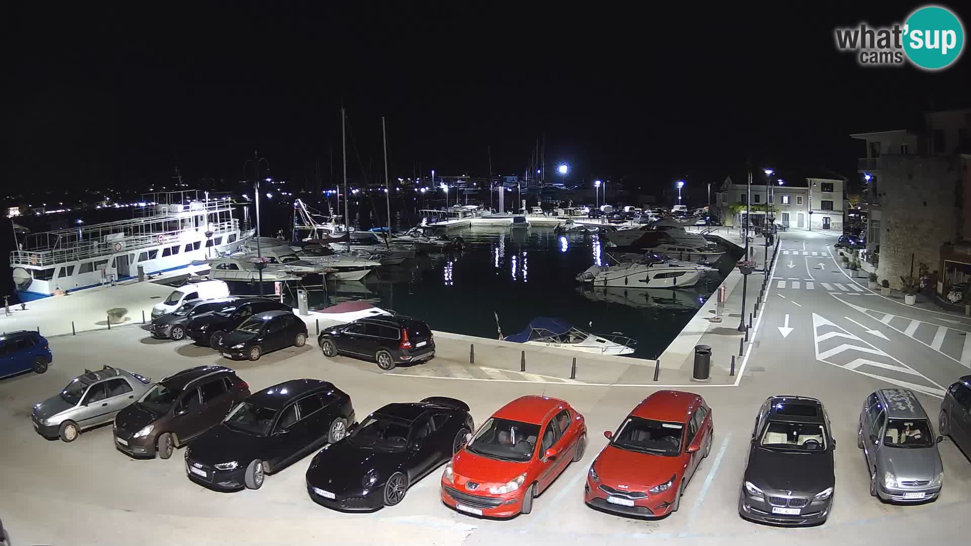 Novigrad | Porporela marina