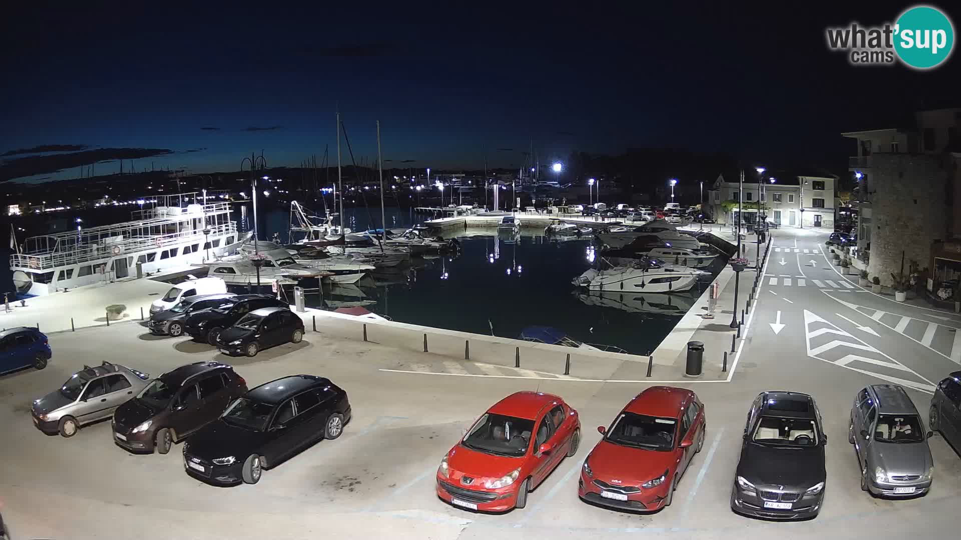 Novigrad | Porporela marina