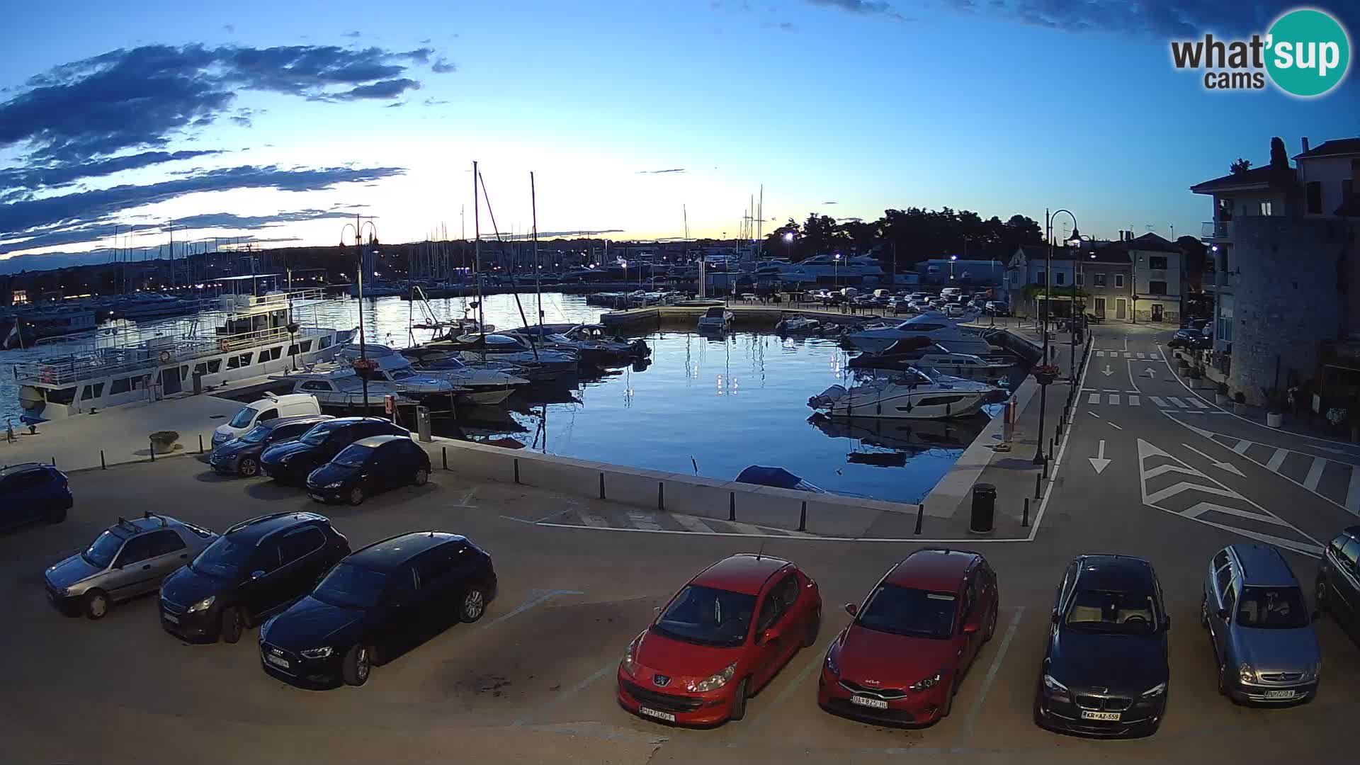 Novigrad | Porporela marina
