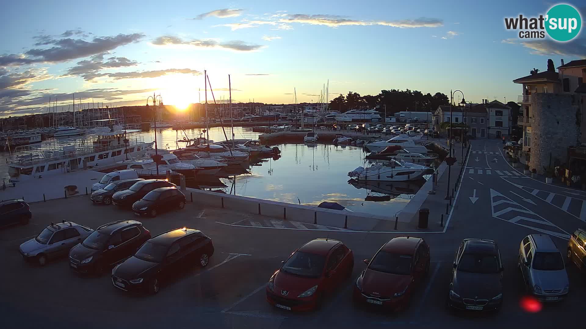 Novigrad | Porporela marina