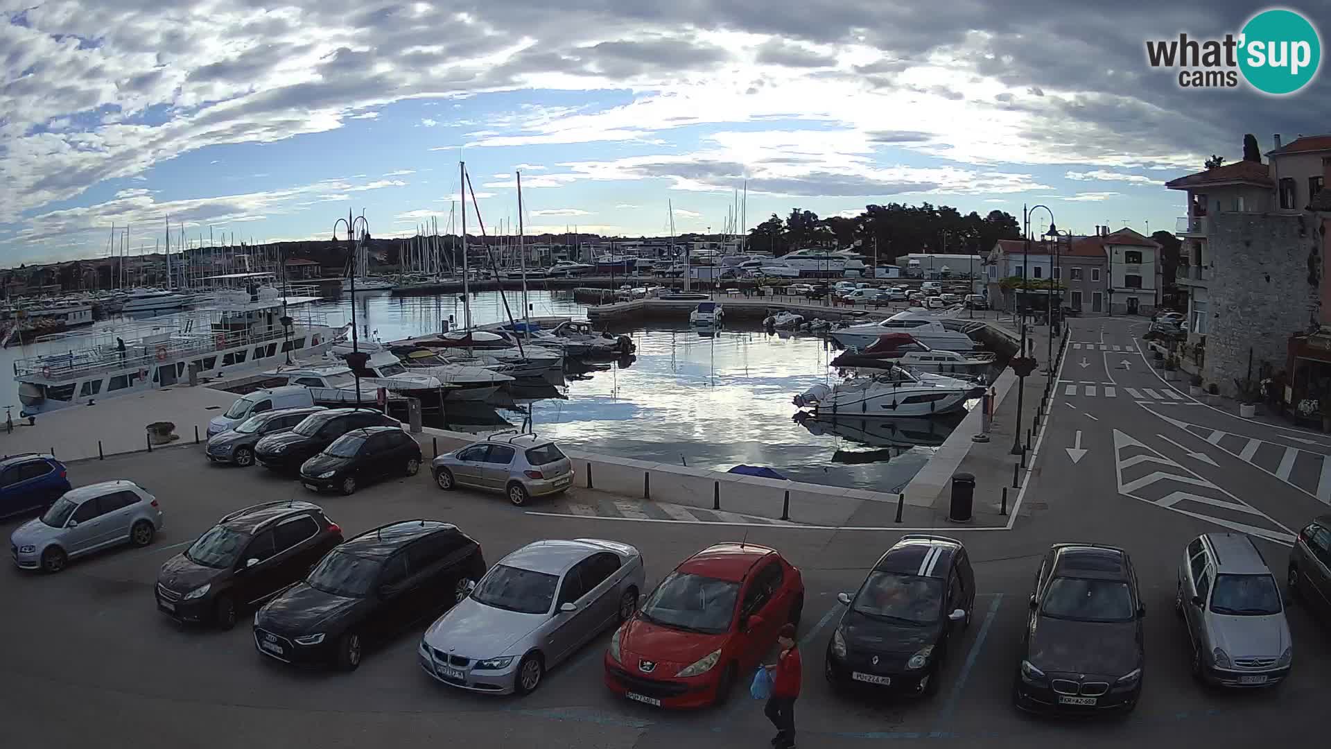 Novigrad | Porporela marina