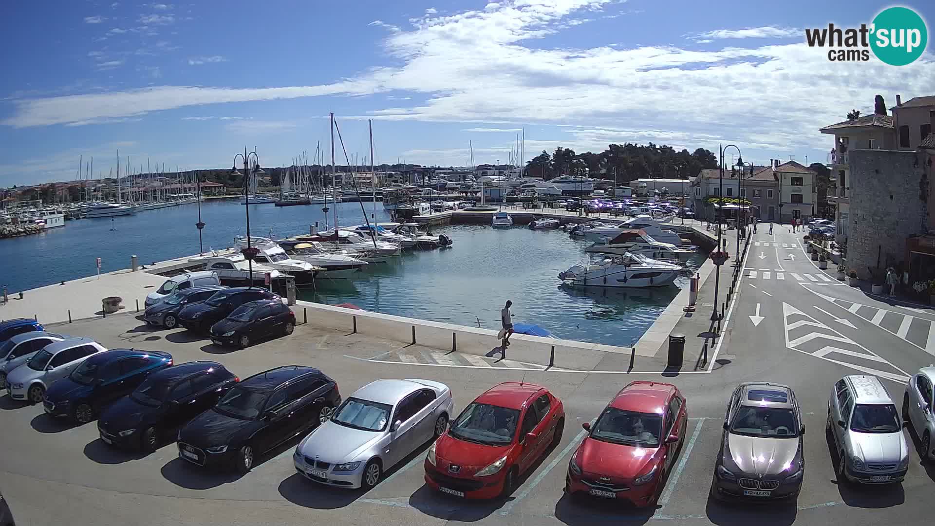 Novigrad | Porporela marina