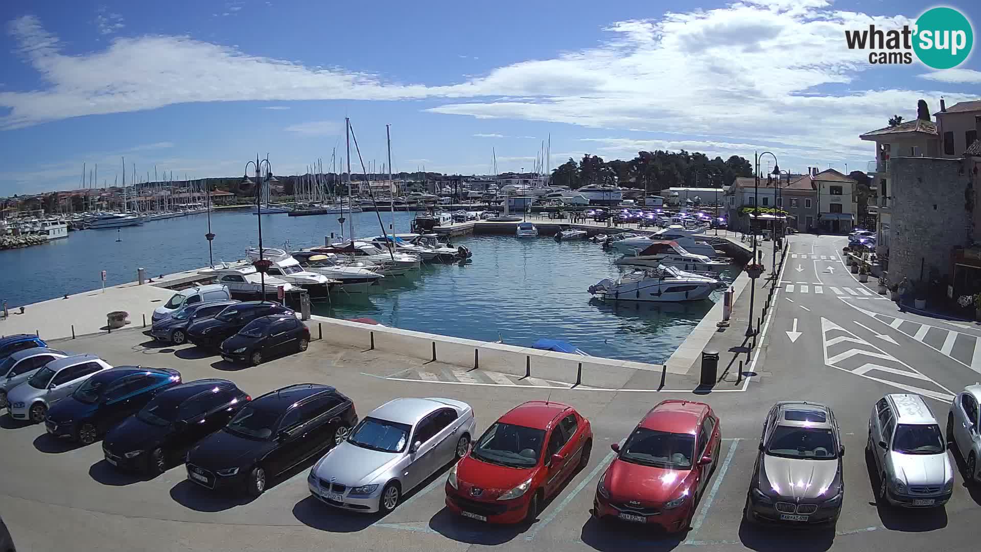 Novigrad | Porporela marina