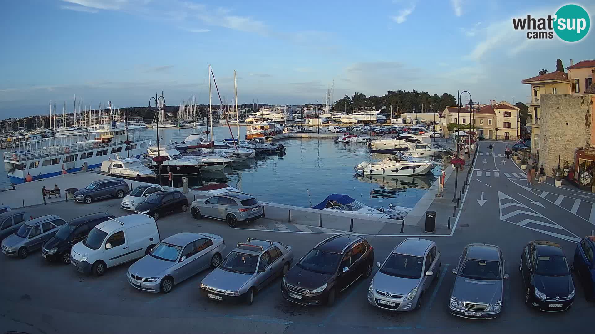 Novigrad | Porporela marina