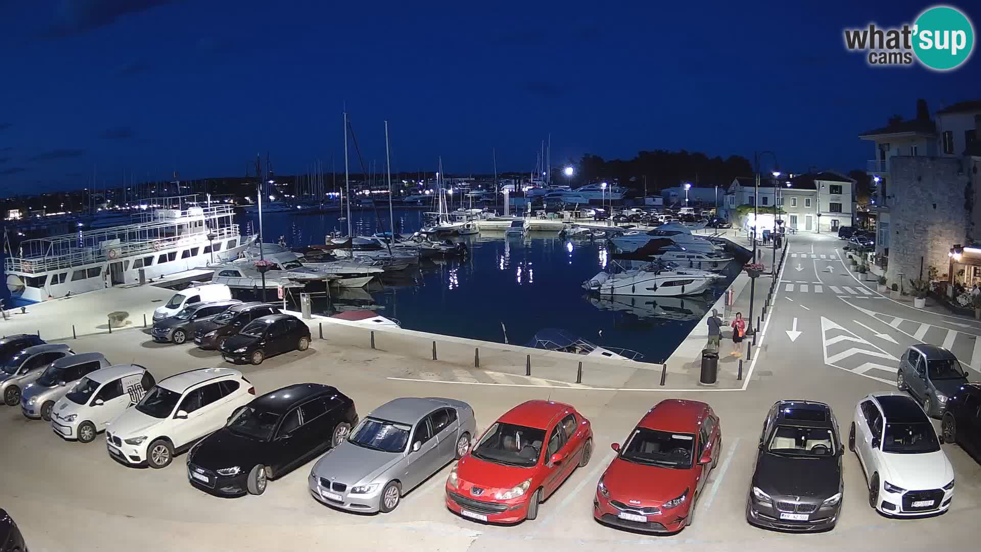 Novigrad | Porporela marina