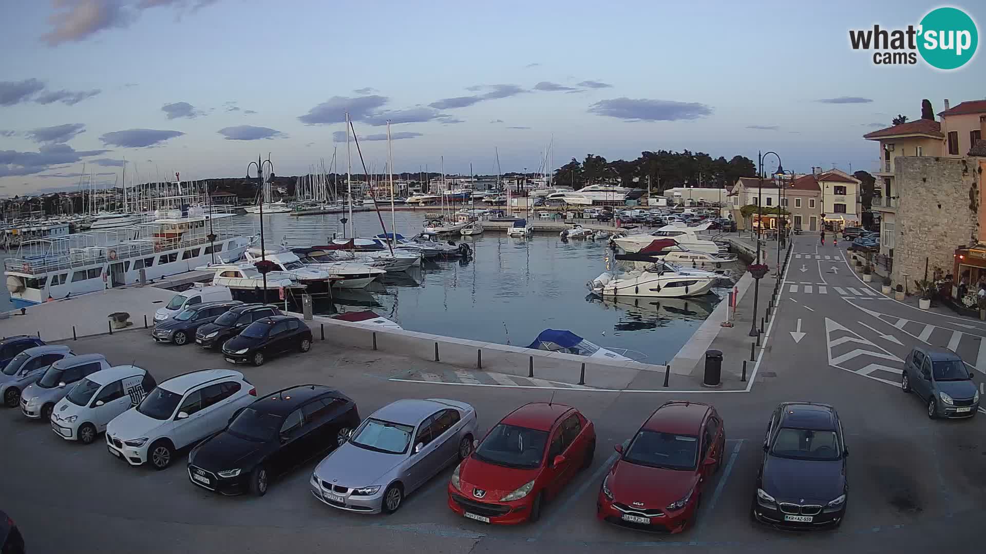 Novigrad | Porporela marina