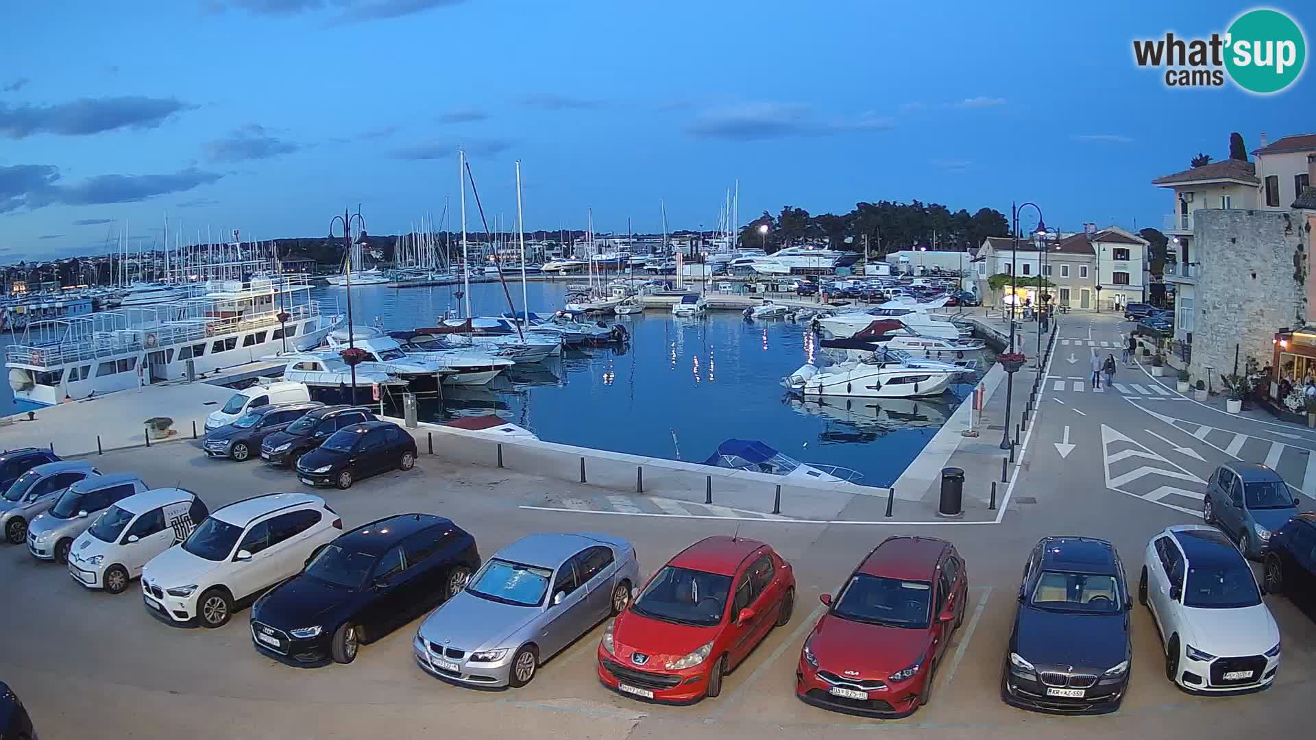 Novigrad | Porporela marina