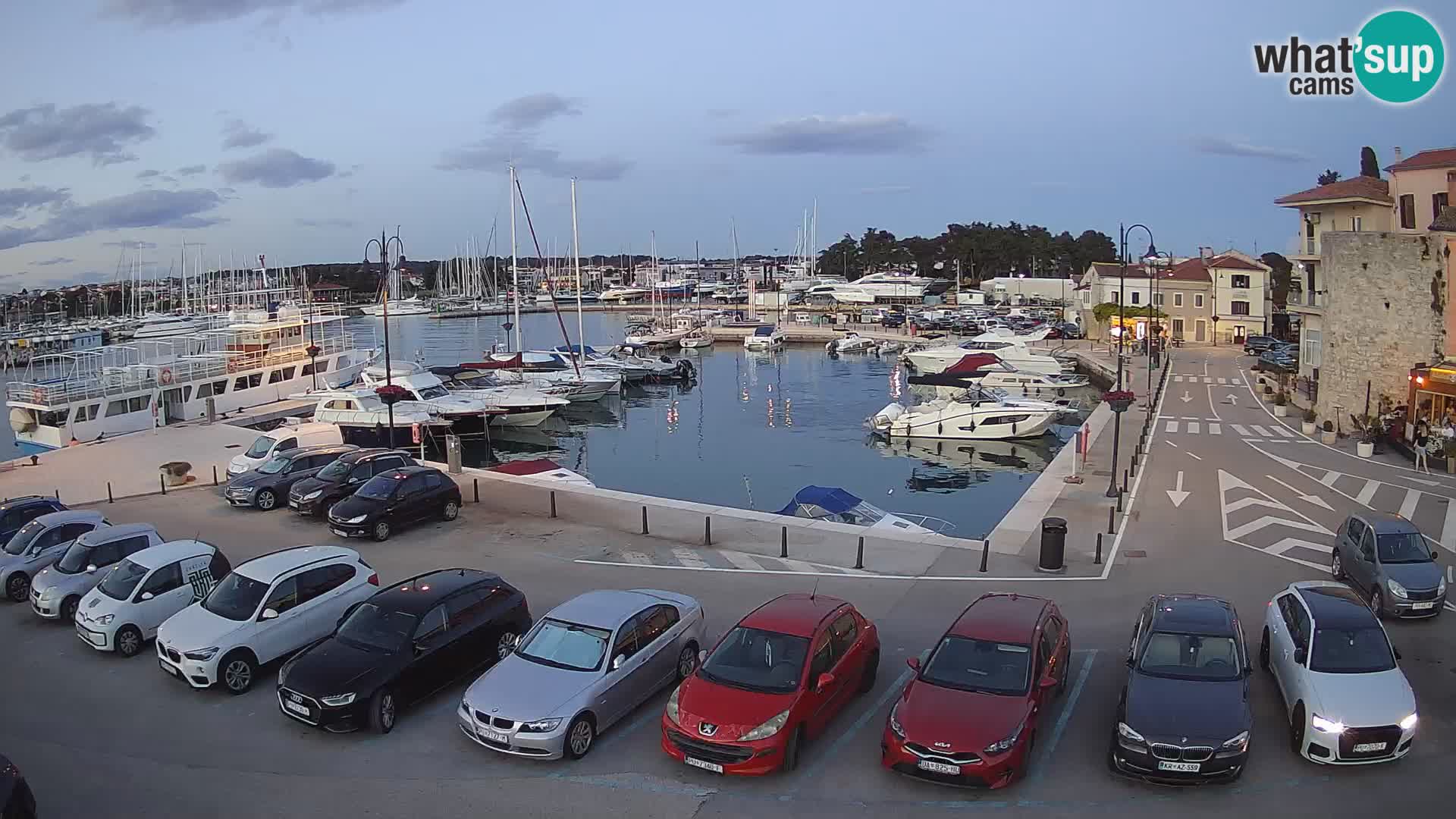 Novigrad | Porporela marina