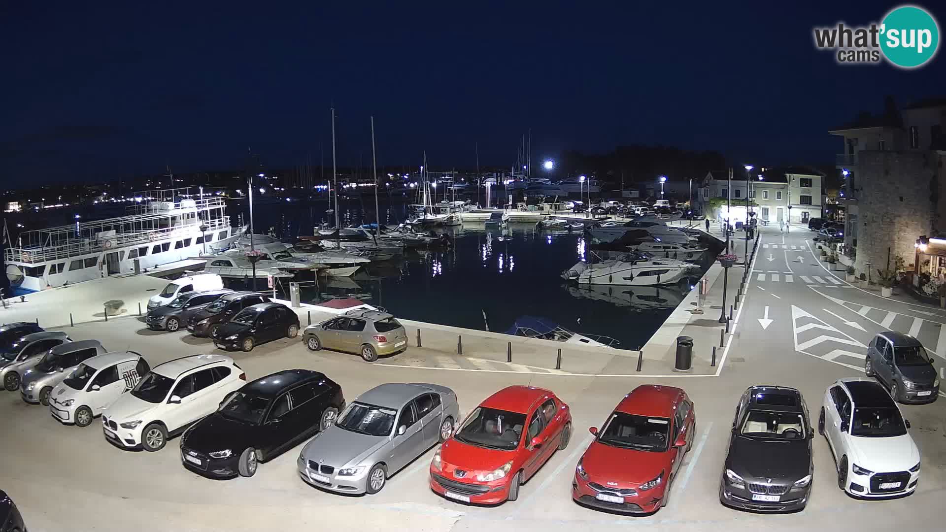 Novigrad | Porporela marina