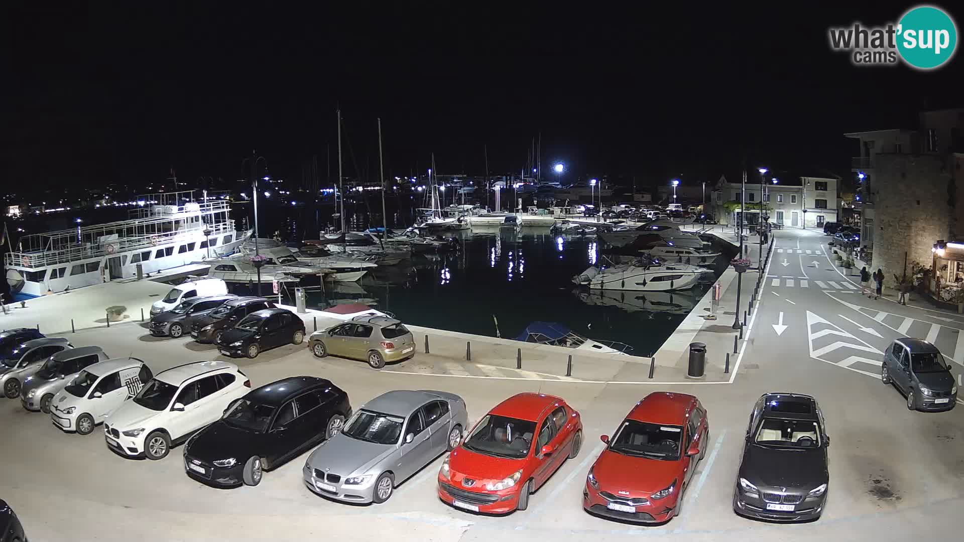 Novigrad | Porporela marina