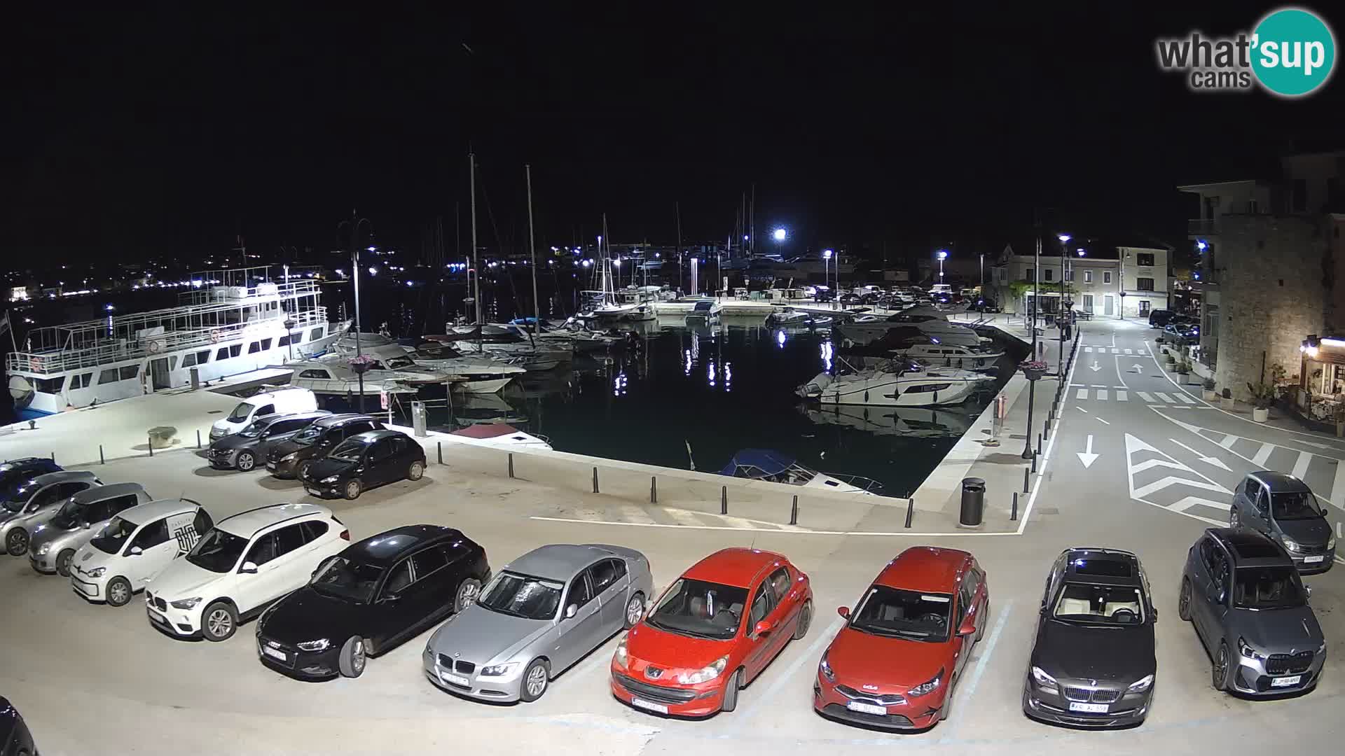 Novigrad | Porporela marina