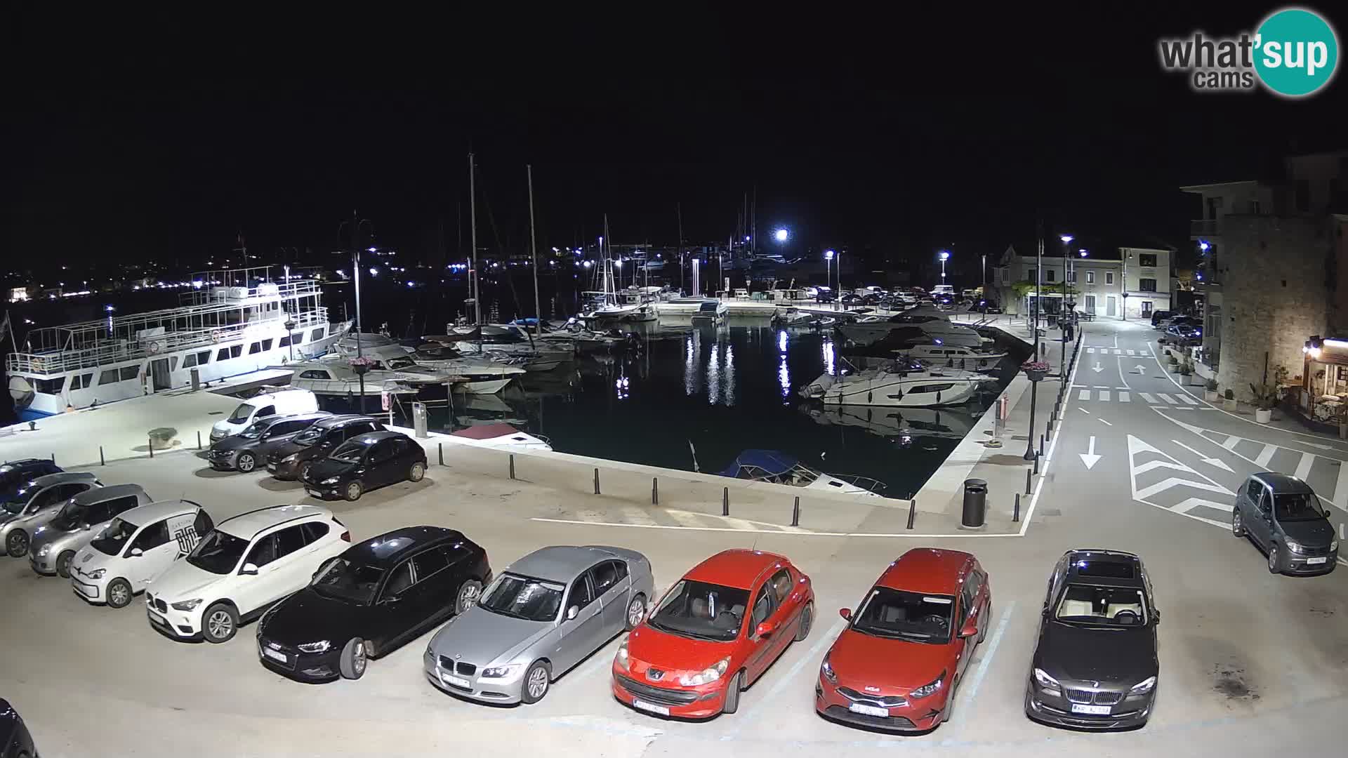 Novigrad | Porporela marina
