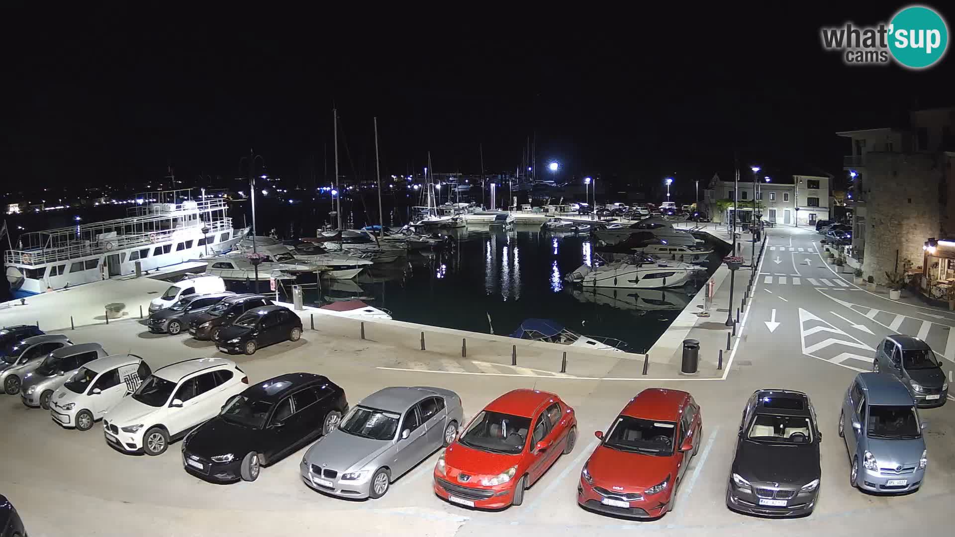 Novigrad | Porporela marina