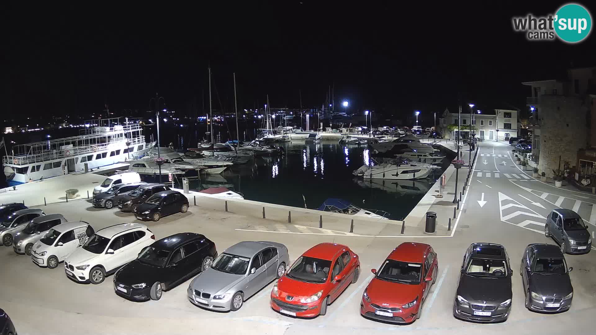 Novigrad | Porporela marina