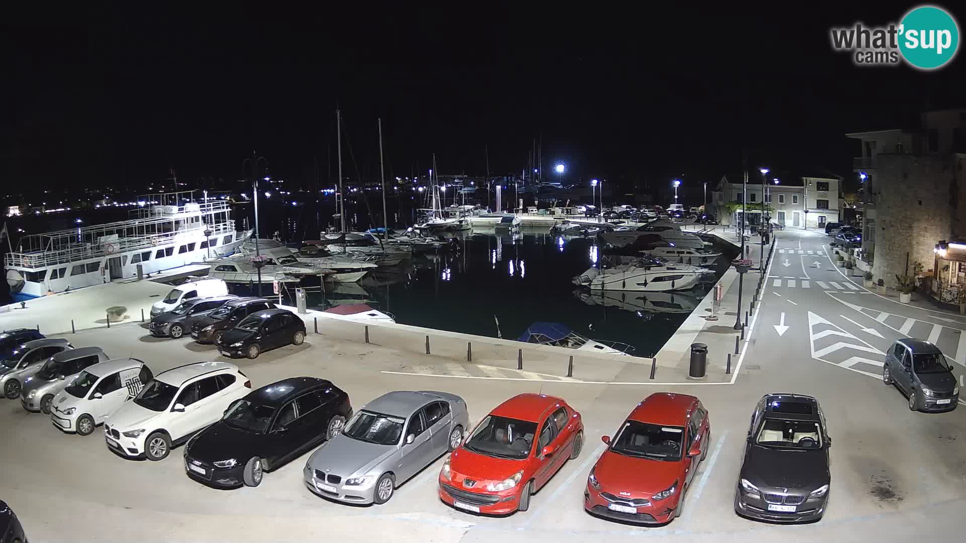 Novigrad | Porporela marina