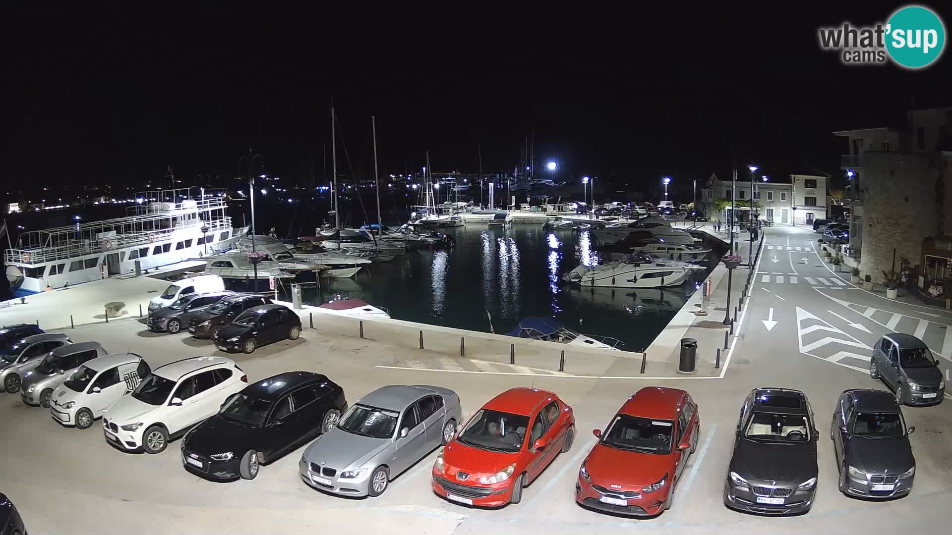Novigrad | Porporela marina