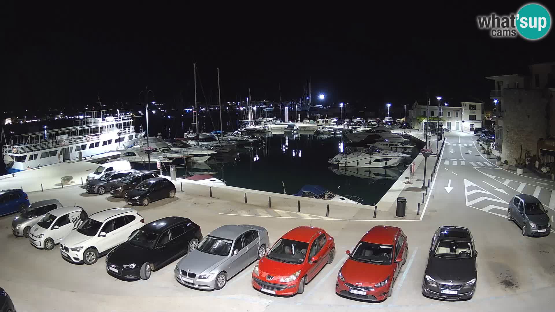 Novigrad | Porporela marina