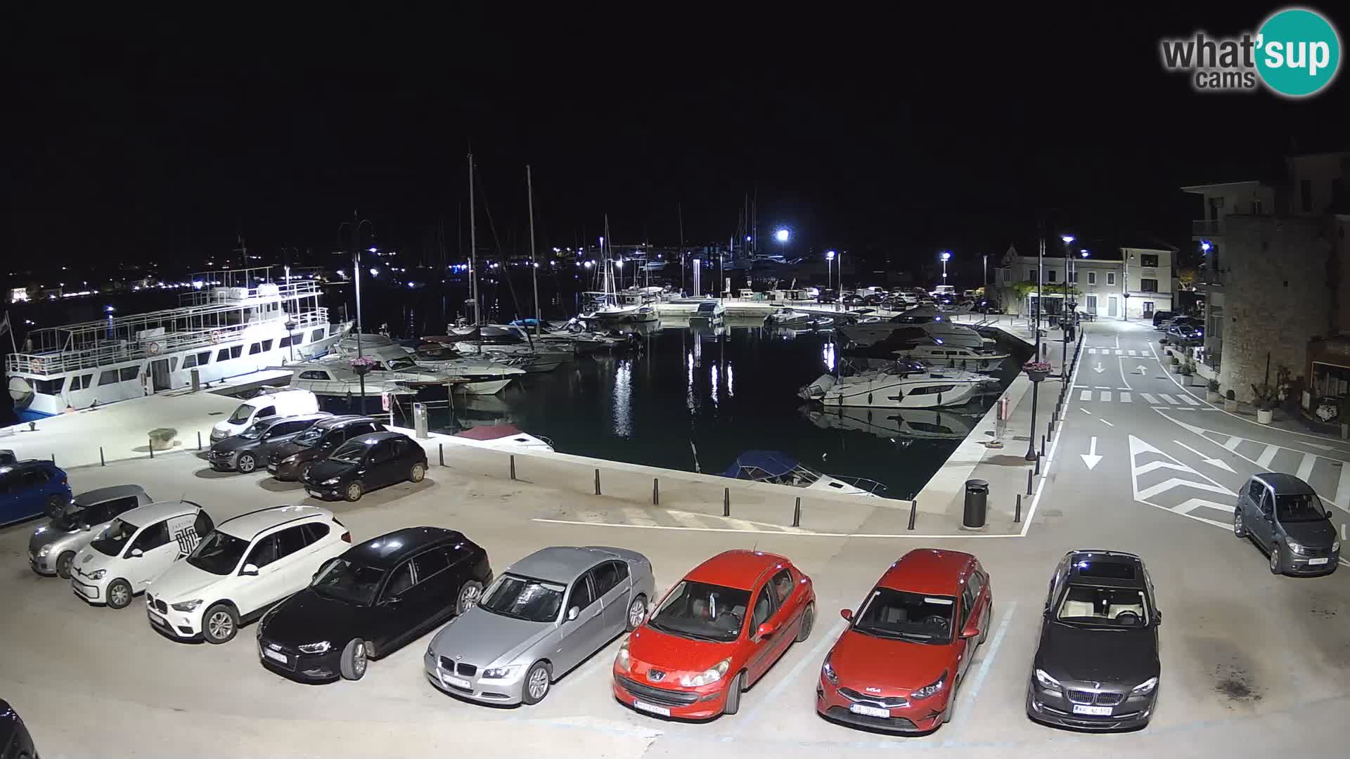 Novigrad | Porporela marina