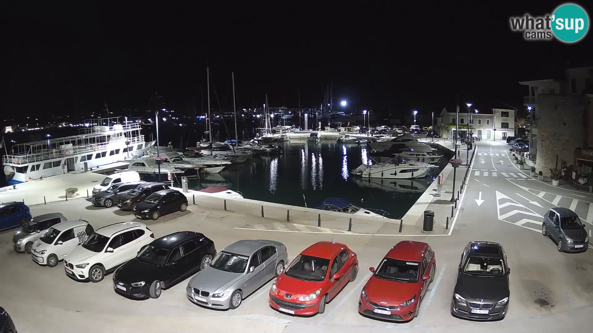 Novigrad | Porporela marina