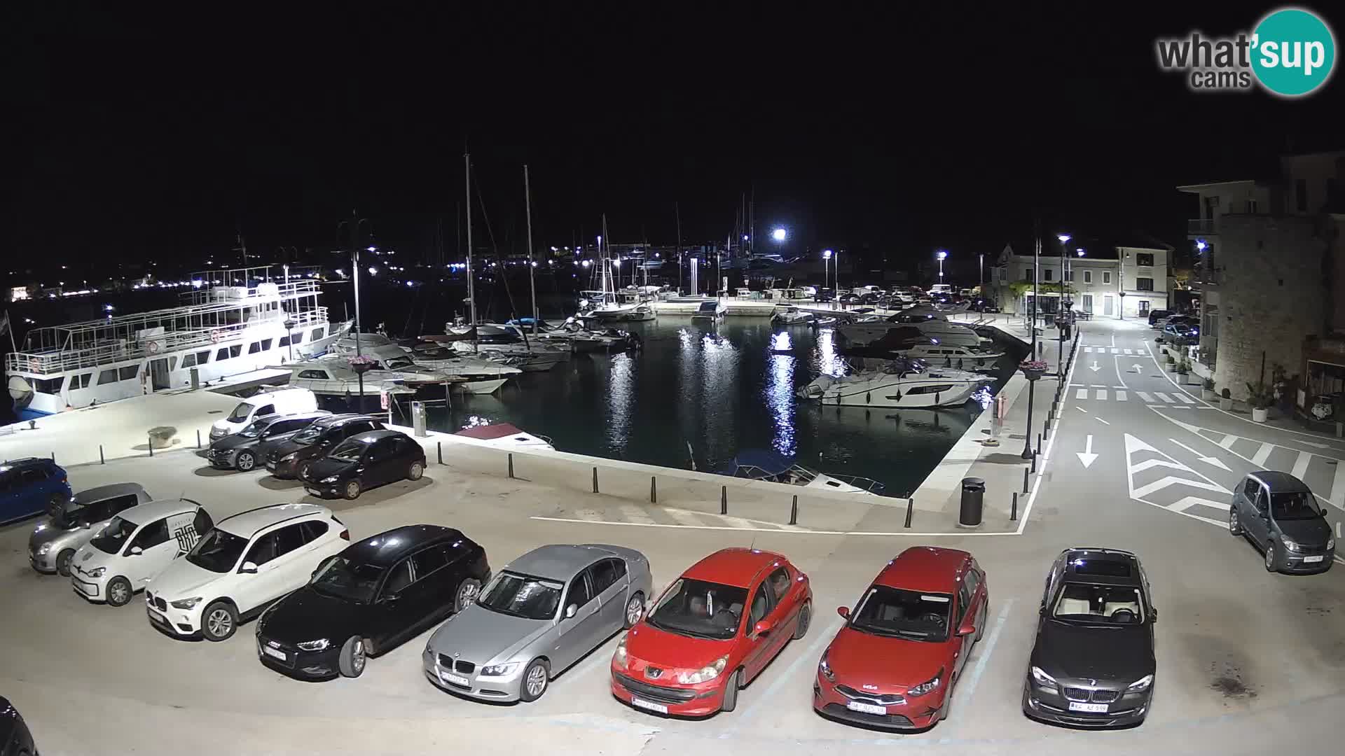 Novigrad | Porporela marina