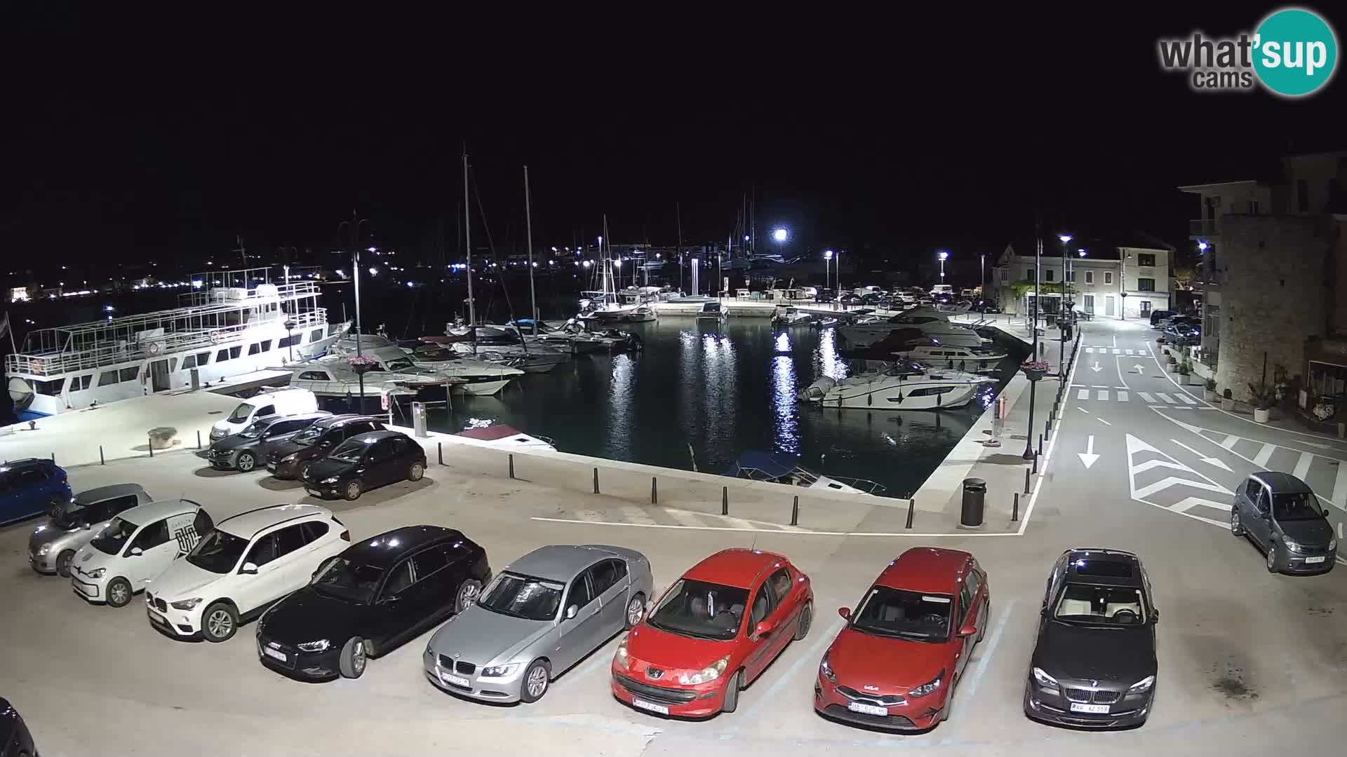 Novigrad | Porporela marina