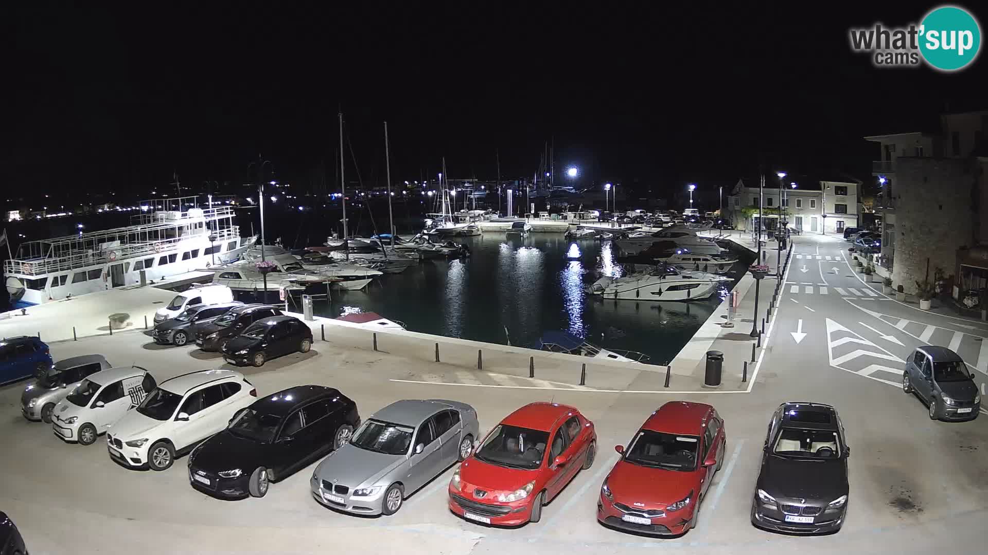 Novigrad | Porporela marina