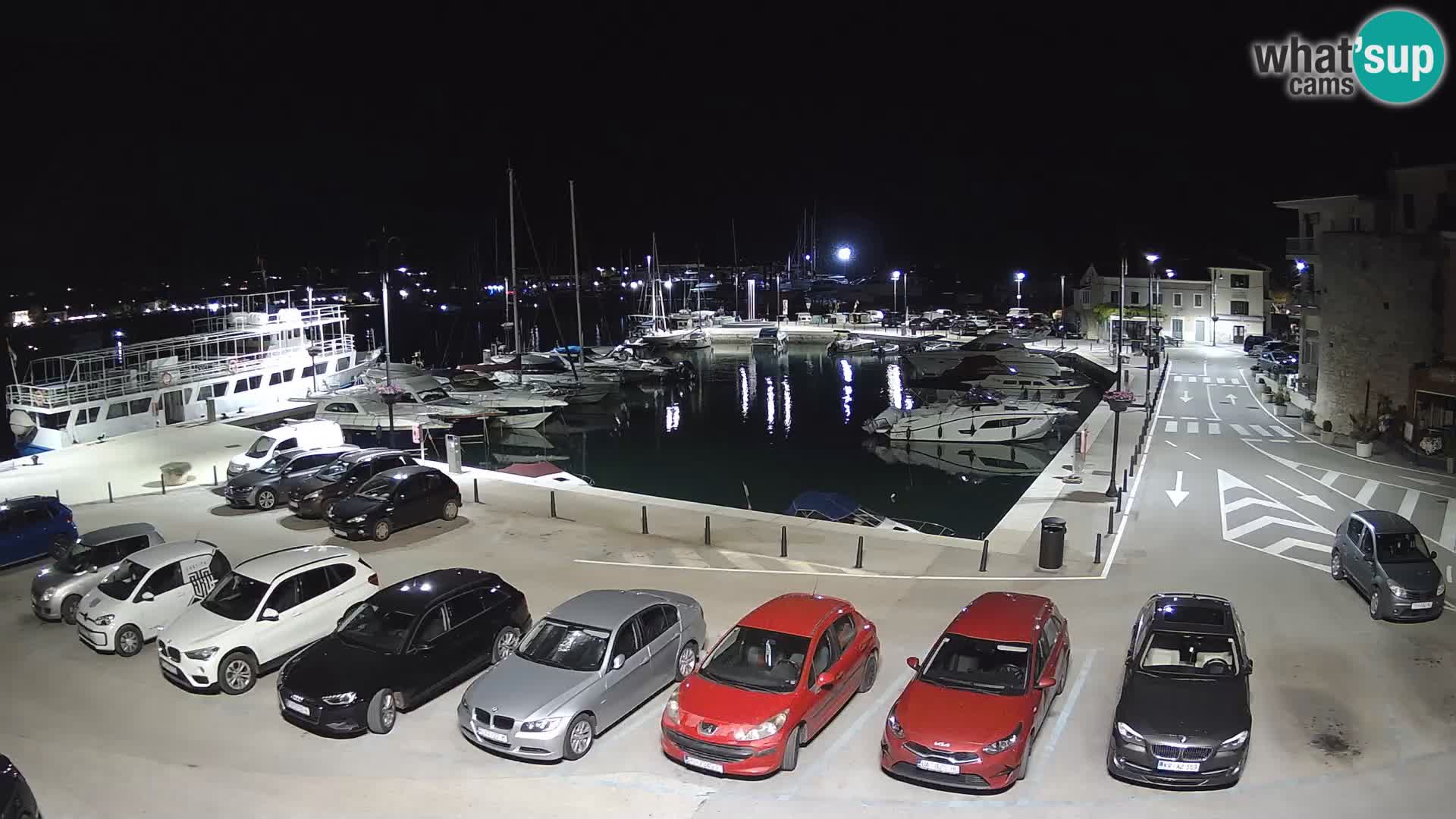 Novigrad | Porporela marina