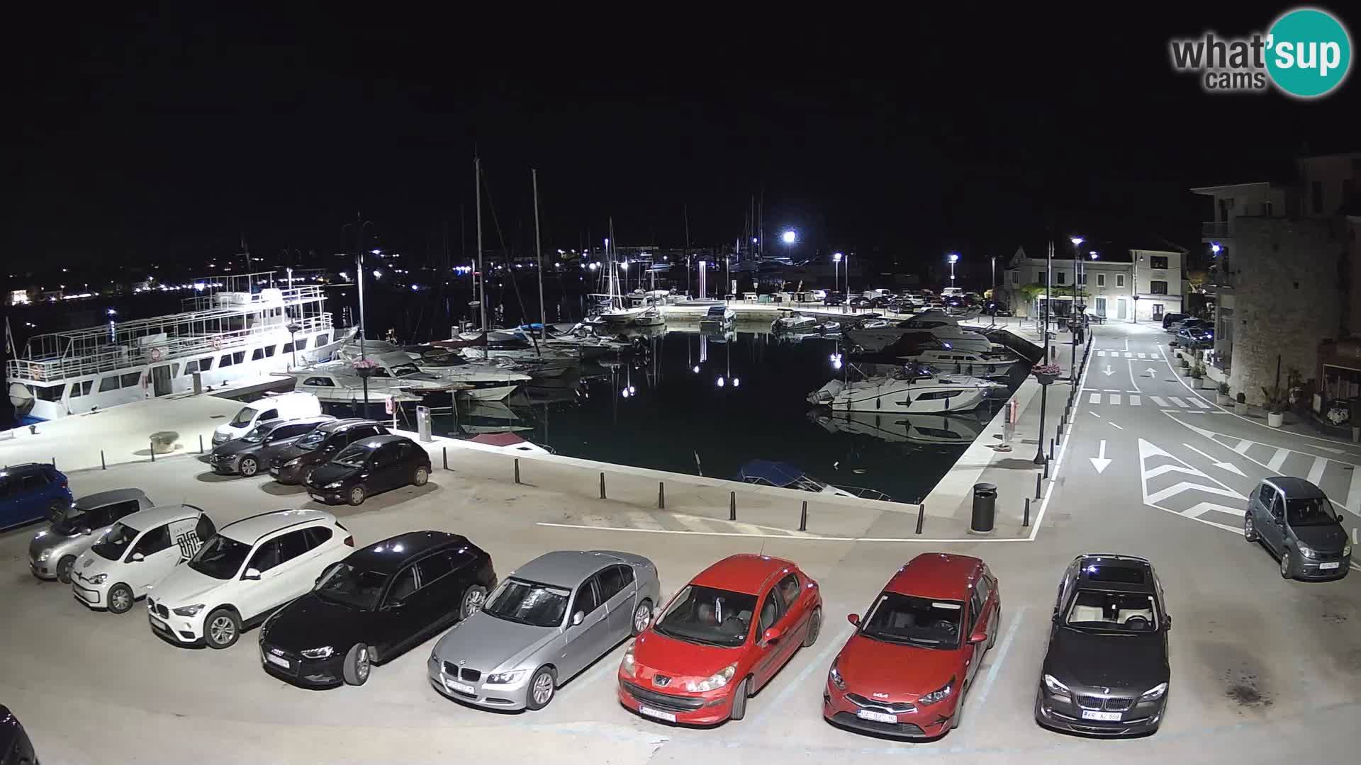 Novigrad | Porporela marina