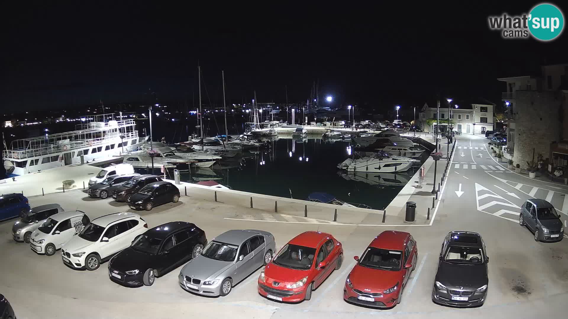 Novigrad | Porporela marina