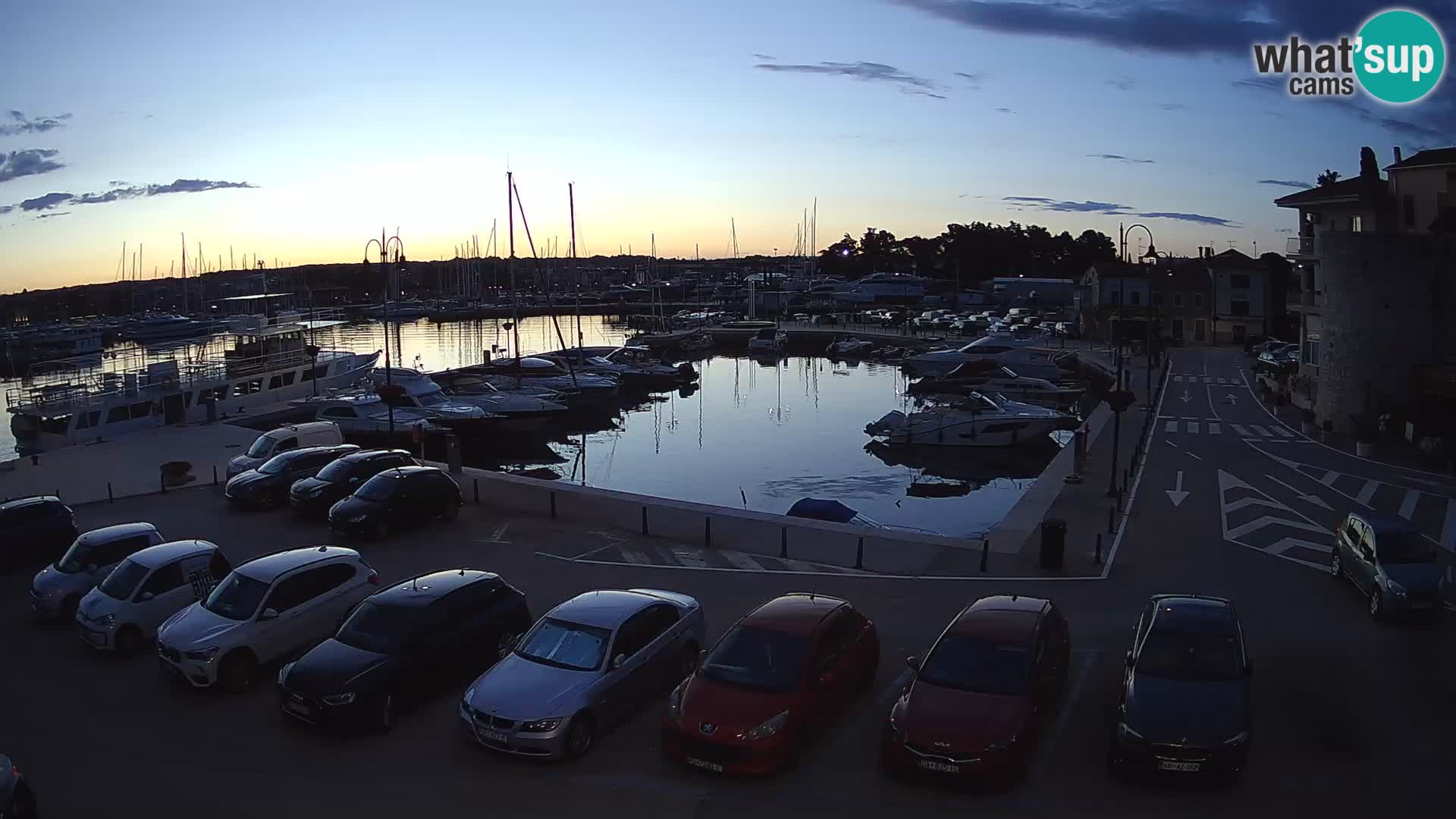Novigrad | Porporela marina