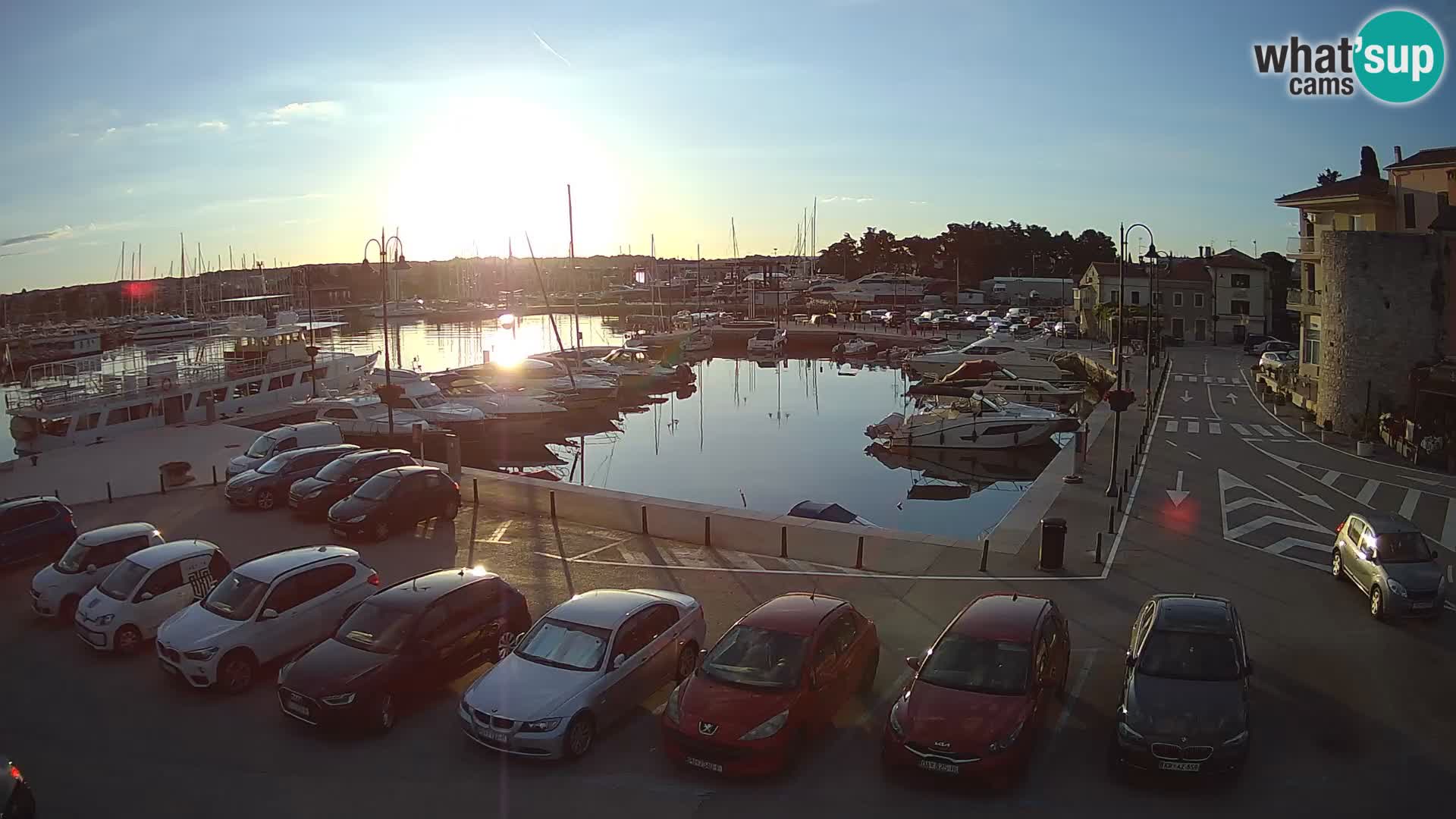 Novigrad | Porporela marina