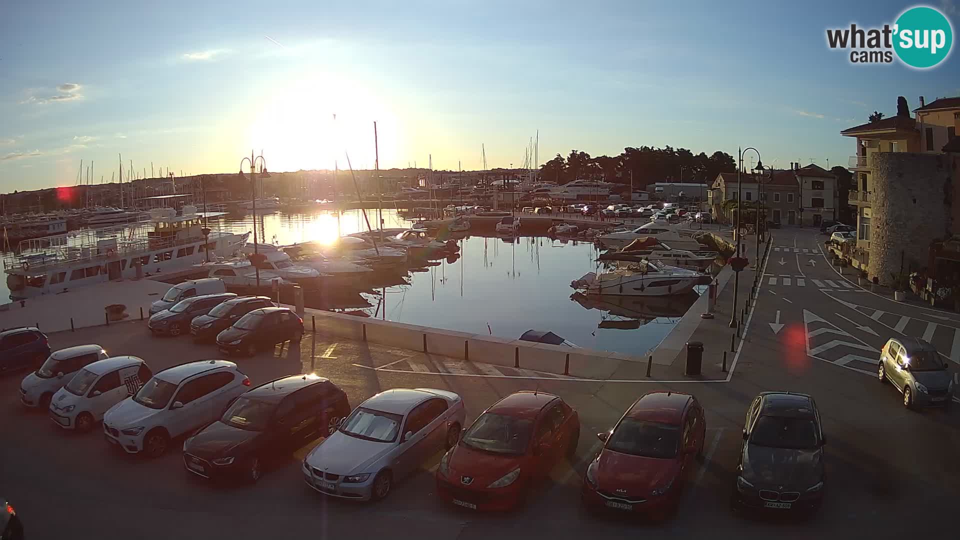 Novigrad | Porporela marina