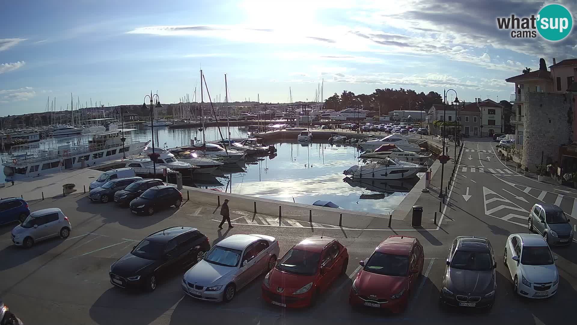 Novigrad | Porporela marina