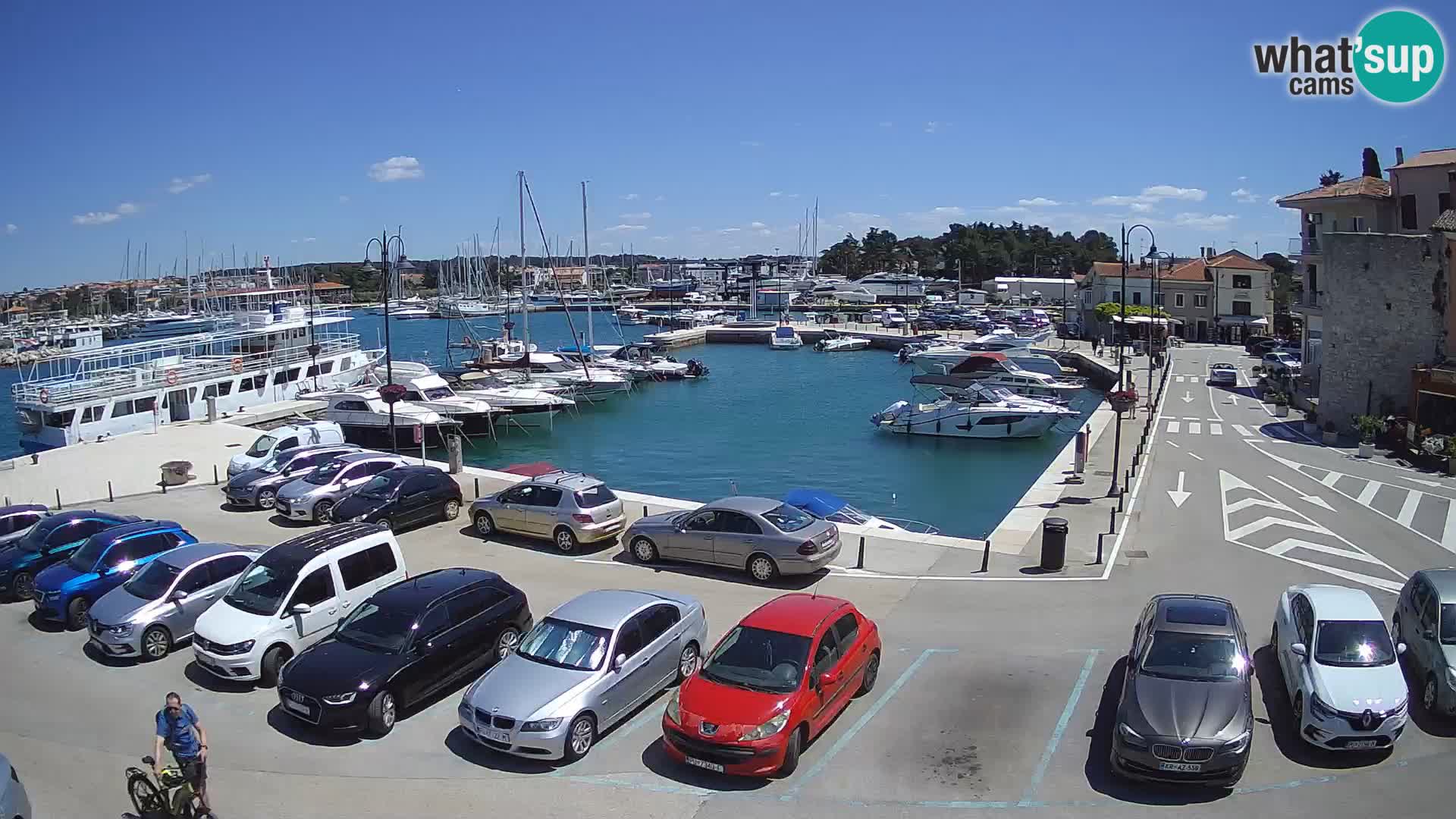 Novigrad | Porporela marina