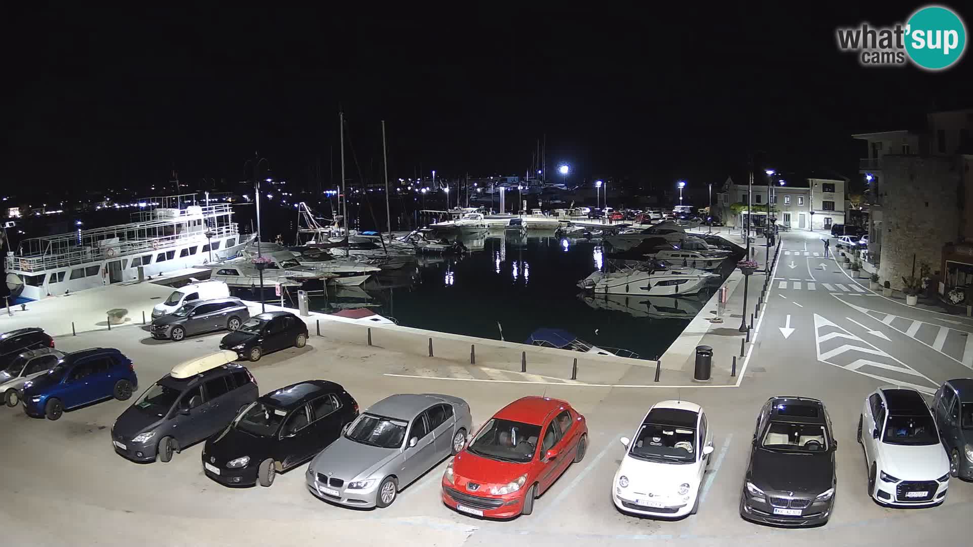 Novigrad | Porporela marina