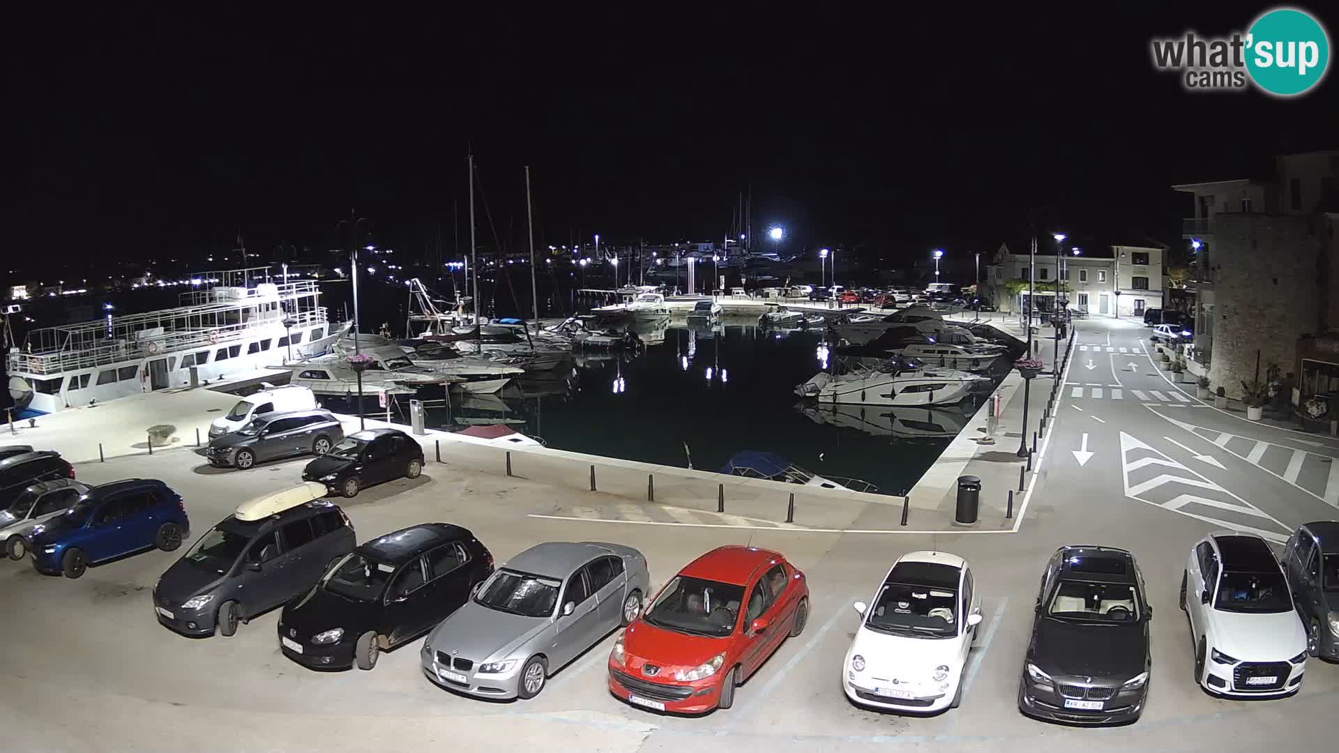 Novigrad | Porporela marina