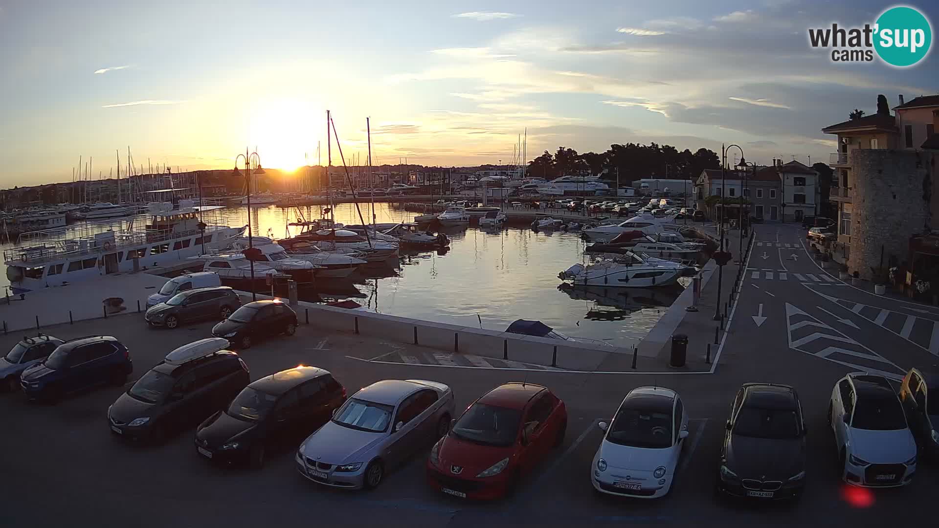 Novigrad | Porporela marina