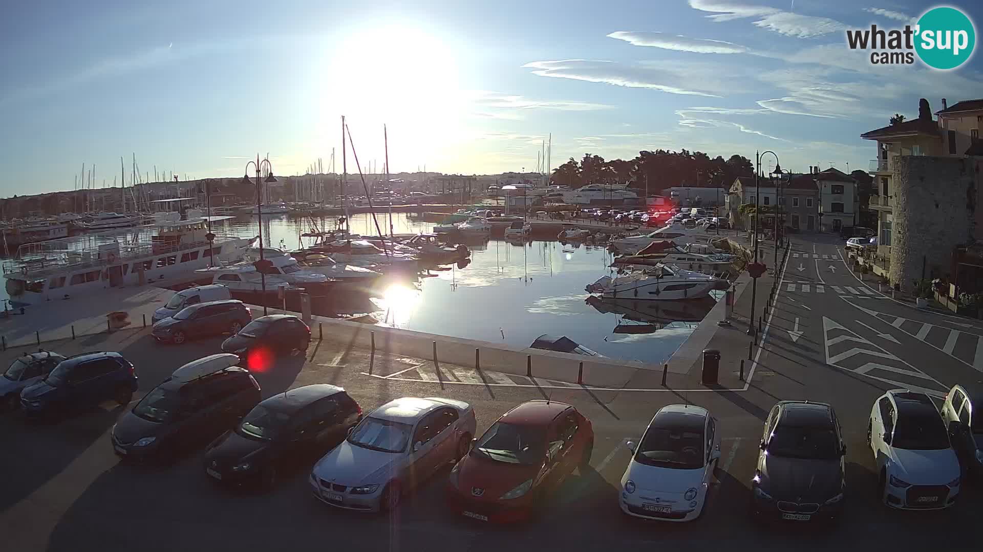 Novigrad | Porporela marina