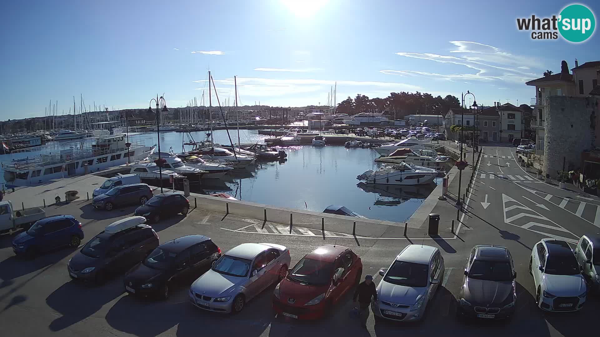 Novigrad | Porporela marina