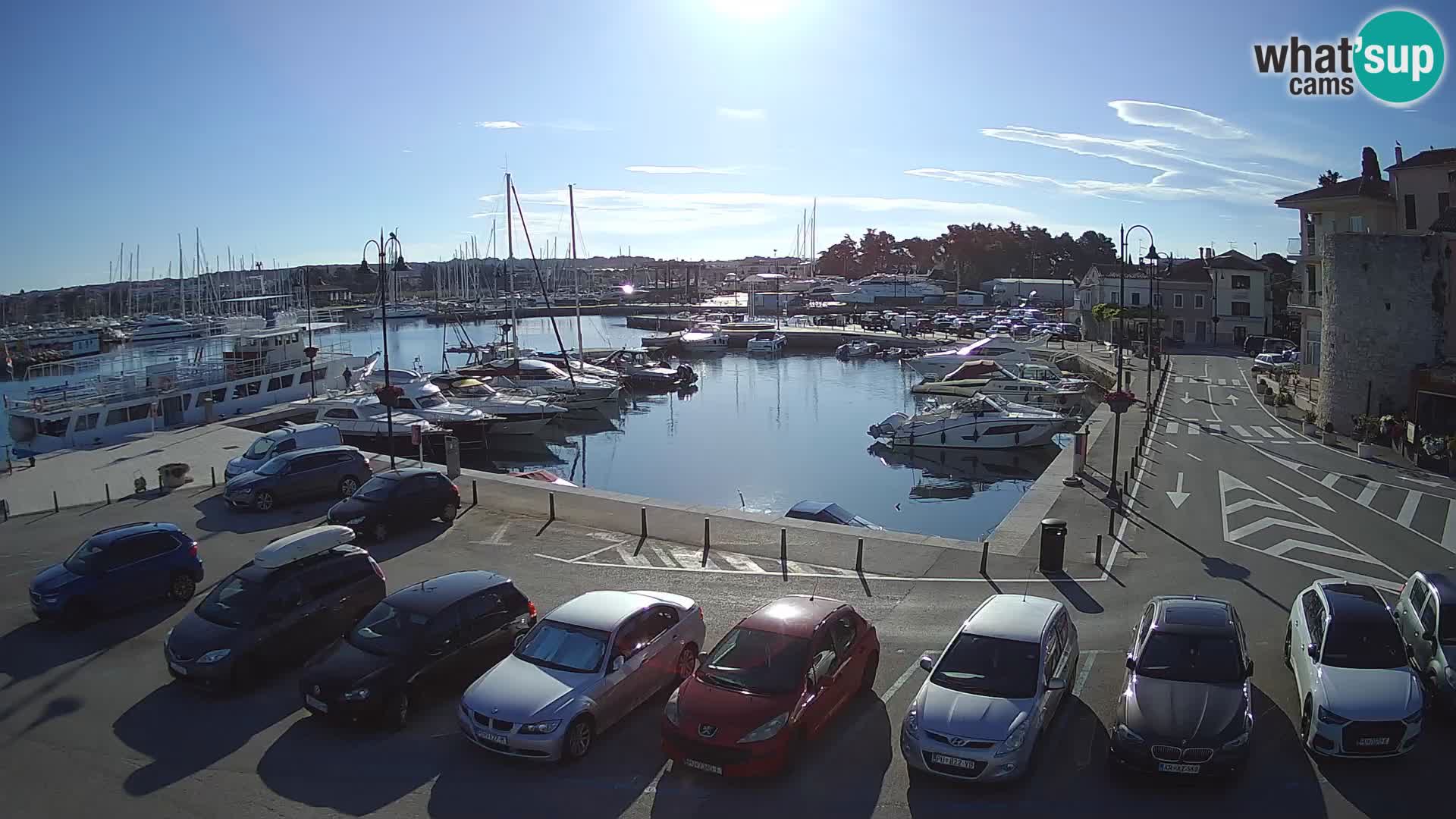 Novigrad | Porporela marina