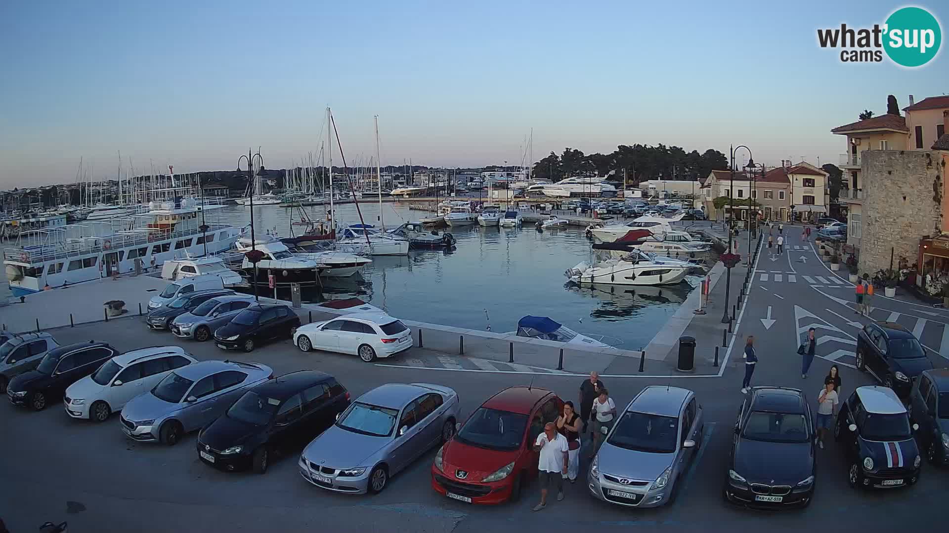 Novigrad | Porporela marina